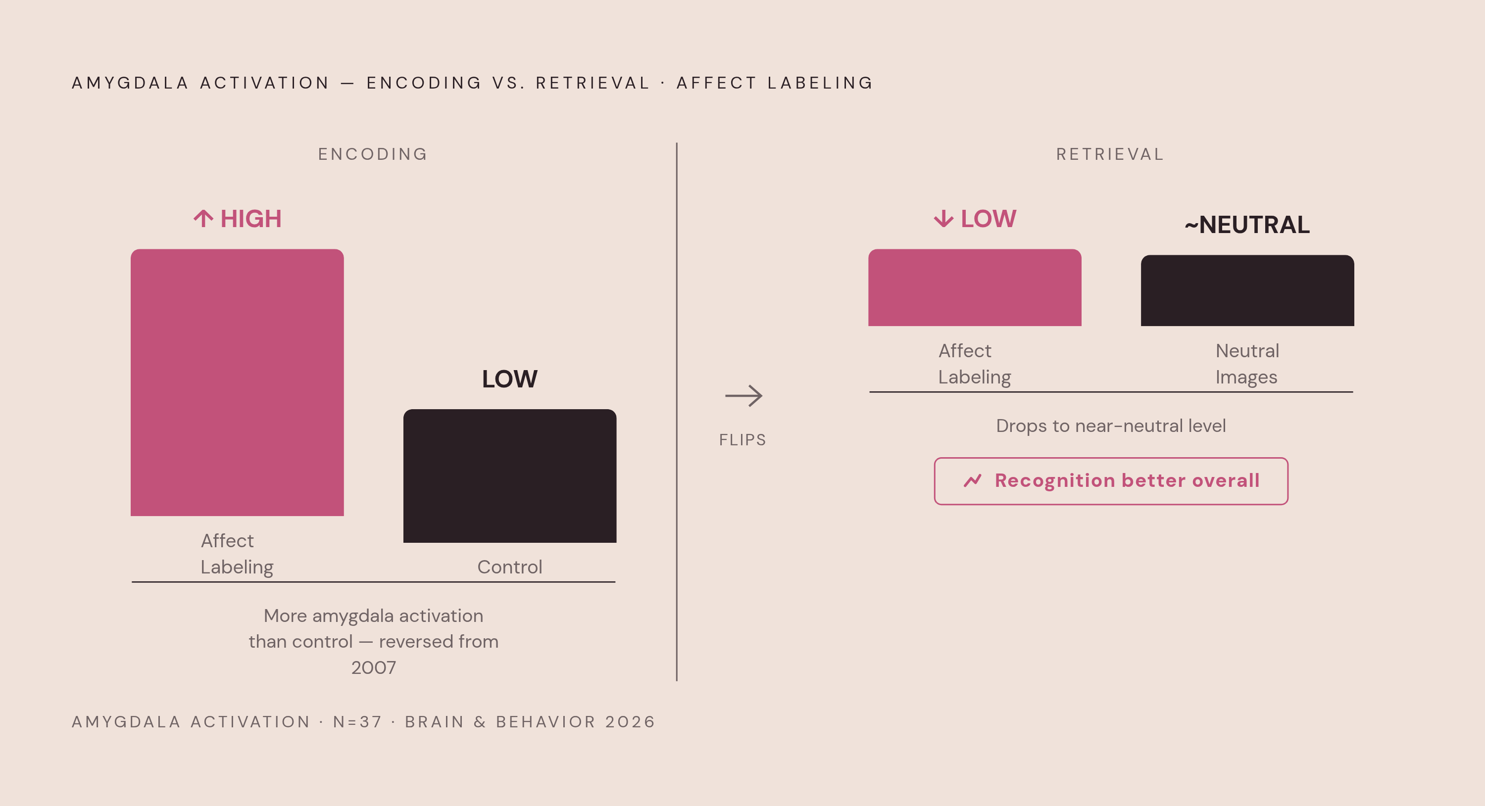 Diagram: Affect Labeling at Encoding vs. Retrieval: A Reversal. Visualizes: Illustrate the two-phase reversal found in the 2026 Brain and Behavior fMRI study (N=37): during memory encoding, affect labeling produced greater amygdala activation than…