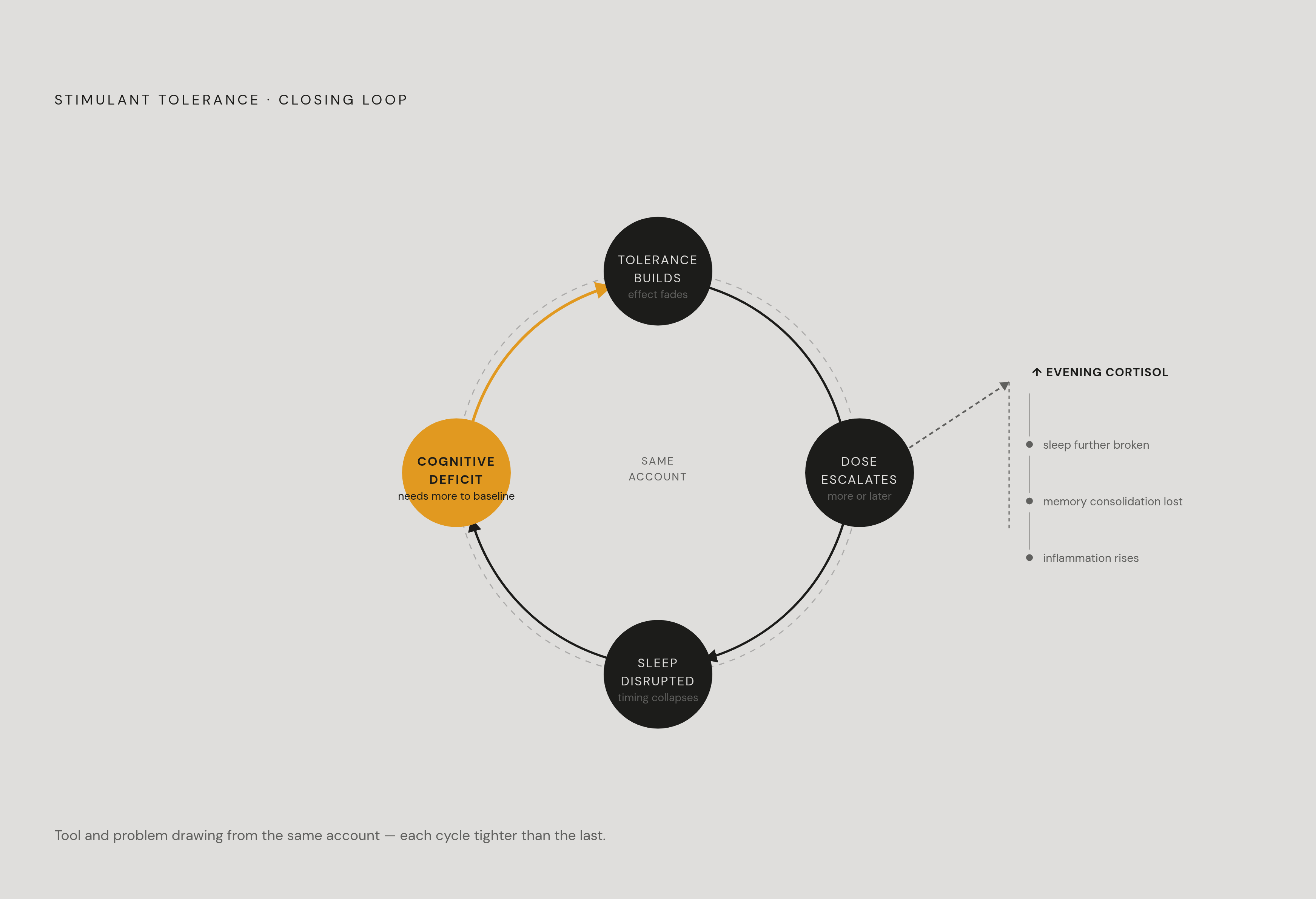 Diagram: The Tolerance Feedback Loop. Visualizes: Visualize a closed degrading loop showing how unmanaged stimulant tolerance compounds itself across four stages: (1) stimulant stops producing original effect → (2) user compensates by taking more…
