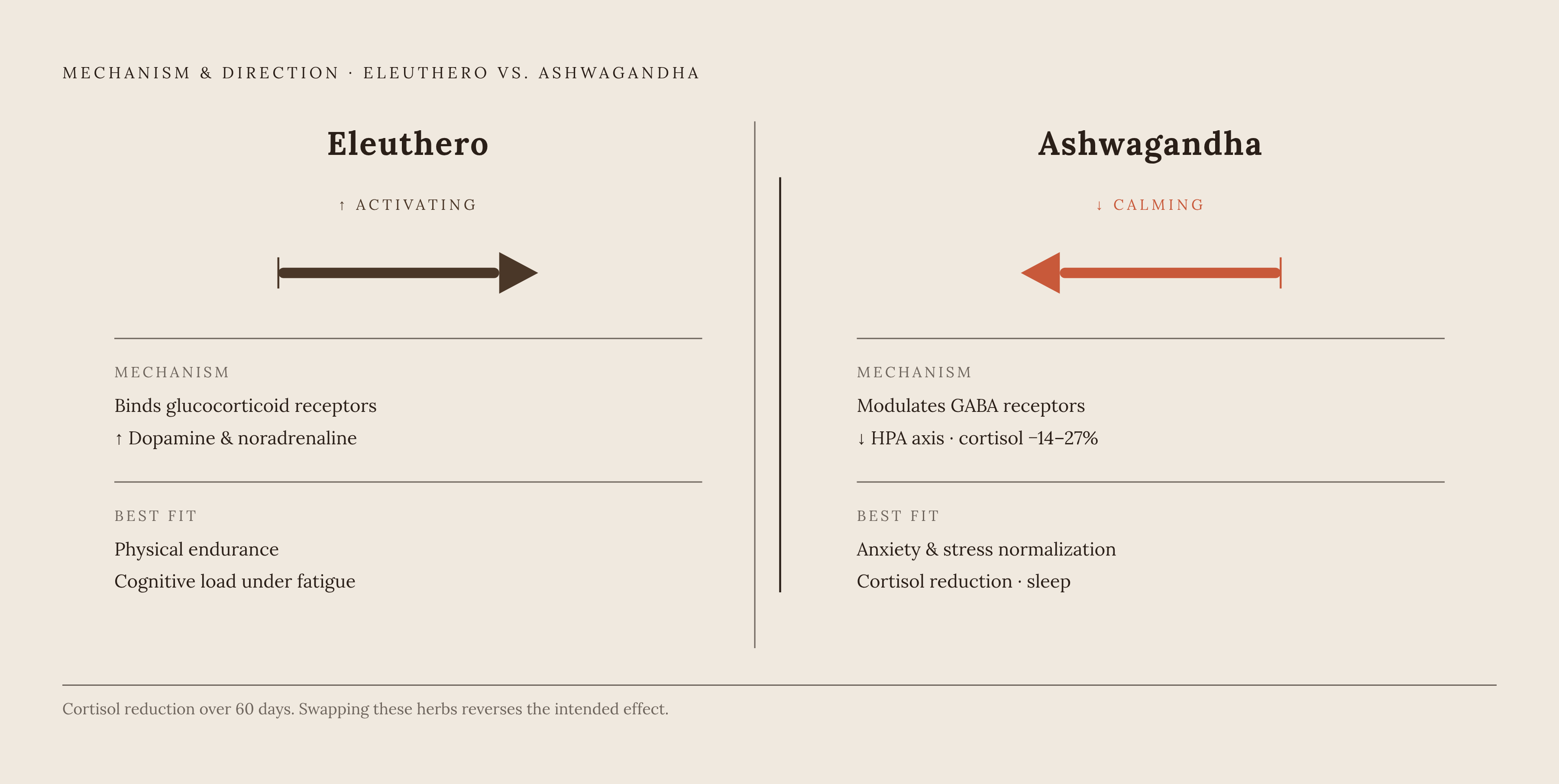 Diagram: One Activates, One Calms: Two Adaptogens, Two Mechanisms. Visualizes: Show the fundamental mechanistic split between eleuthero and ashwagandha as a side-by-side contrast — not a table of attributes, but a visual that makes one directional…