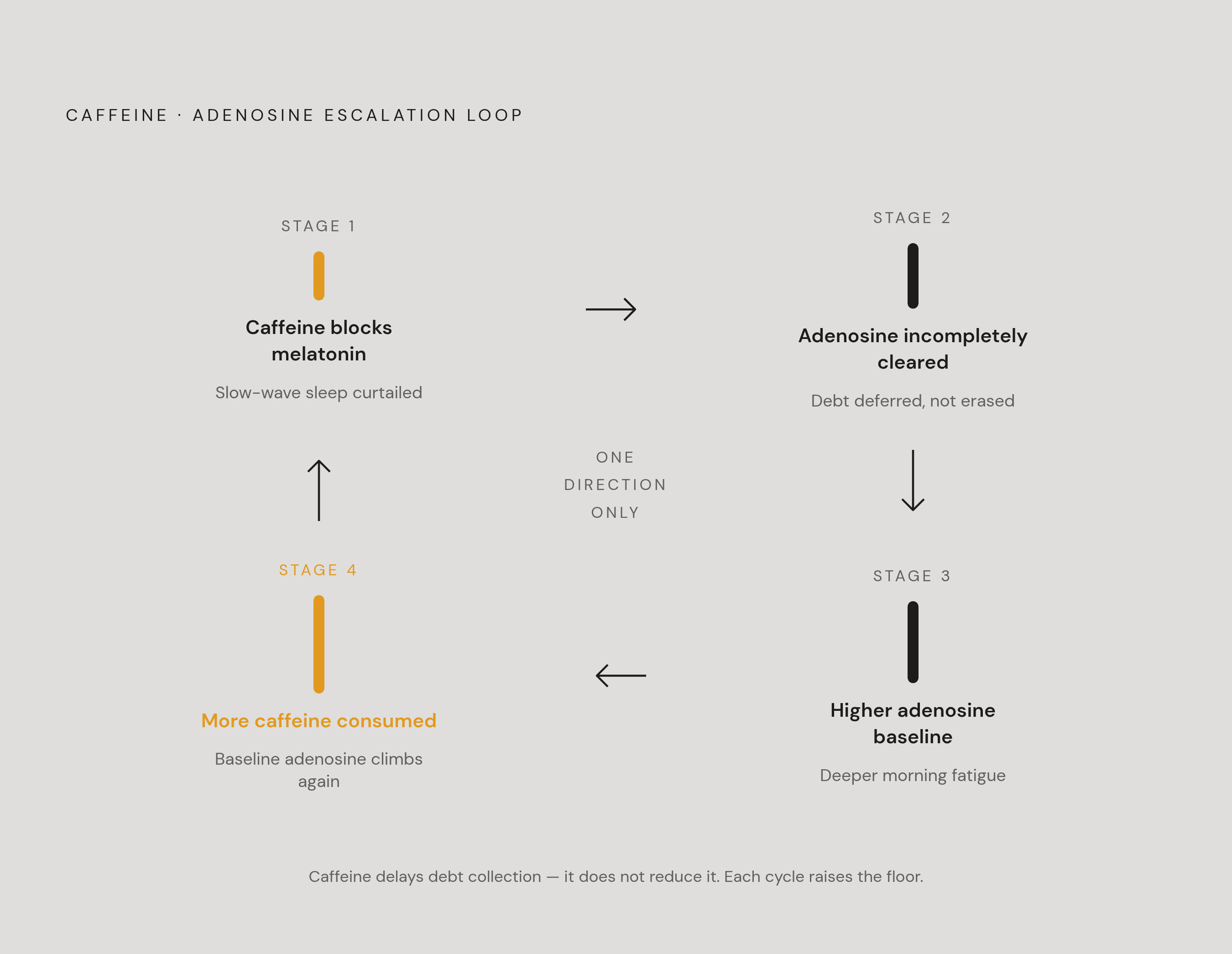 Diagram: The Compounding Cycle: One Night of Disrupted Sleep Raises the Next Day's Baseline. Visualizes: Visualize a closed feedback loop with four labeled stages, each feeding the next: (1) Caffeine suppresses melatonin → slow-wave sleep…