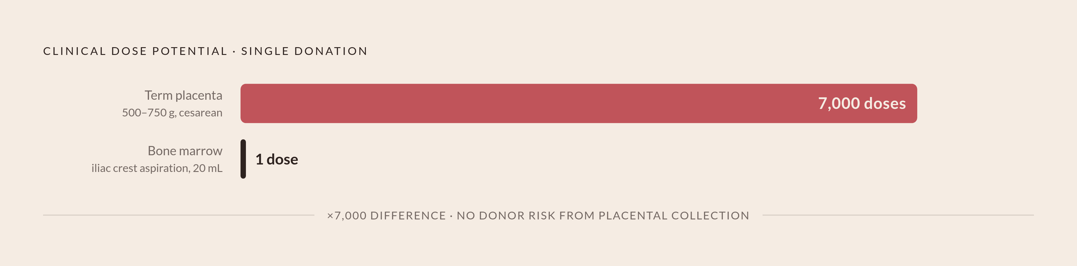 Diagram: One Placenta vs. One Bone Marrow Draw: A Yield That Isn't Incremental. Visualizes: Visualize the categorical scale difference in clinical dose potential between a single term placenta and a single bone marrow aspiration.