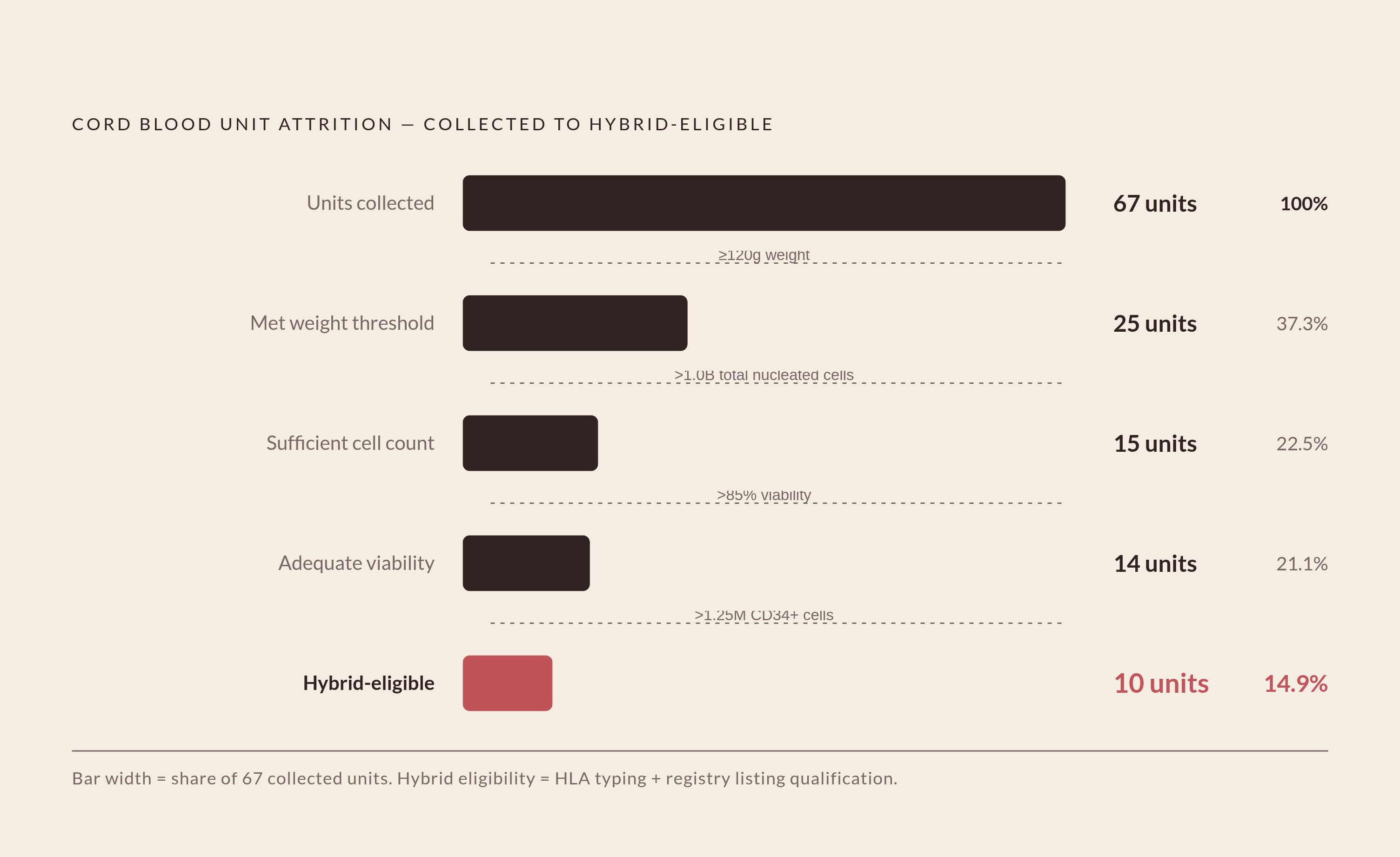 Diagram: How a Swiss Hybrid Program Filtered 67 Units Down to 10. Visualizes: Show the cascade of quality thresholds that reduced 67 collected cord blood units to just 14.9% qualifying for hybrid banking (HLA typing and registry listing).