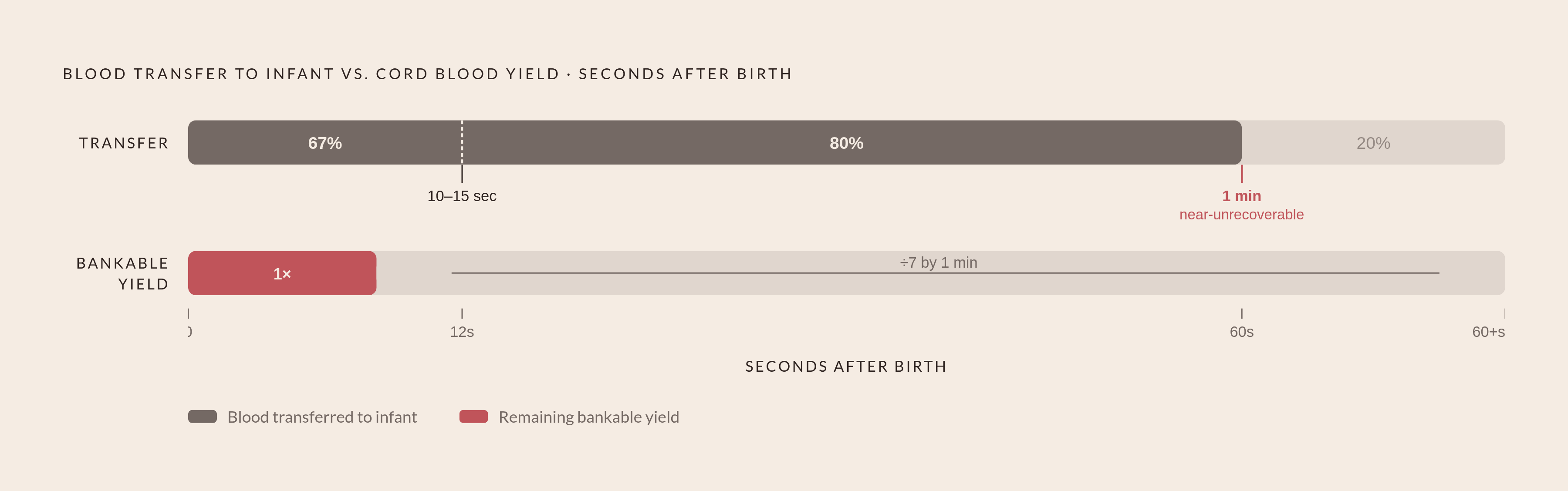 Diagram: The Sixty-Second Window: How Clamping Delay Cuts Collection Yield. Visualizes: Visualize the rapid blood transfer from placenta to infant after birth and how it shrinks cord blood collection yield.