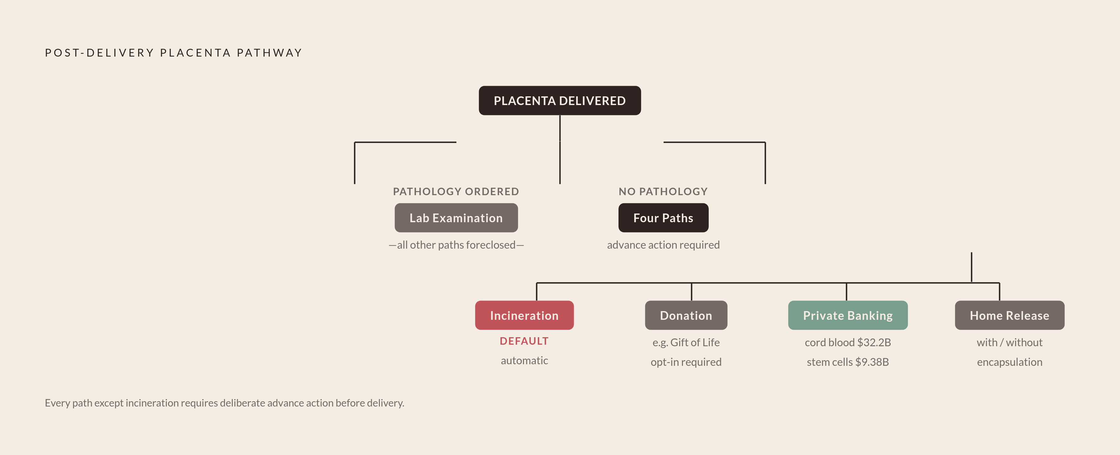 Diagram: Four Paths, One Decision Point: Where the Placenta Goes After Delivery. Visualizes: Visualize the branching decision tree a placenta travels through immediately after delivery.
