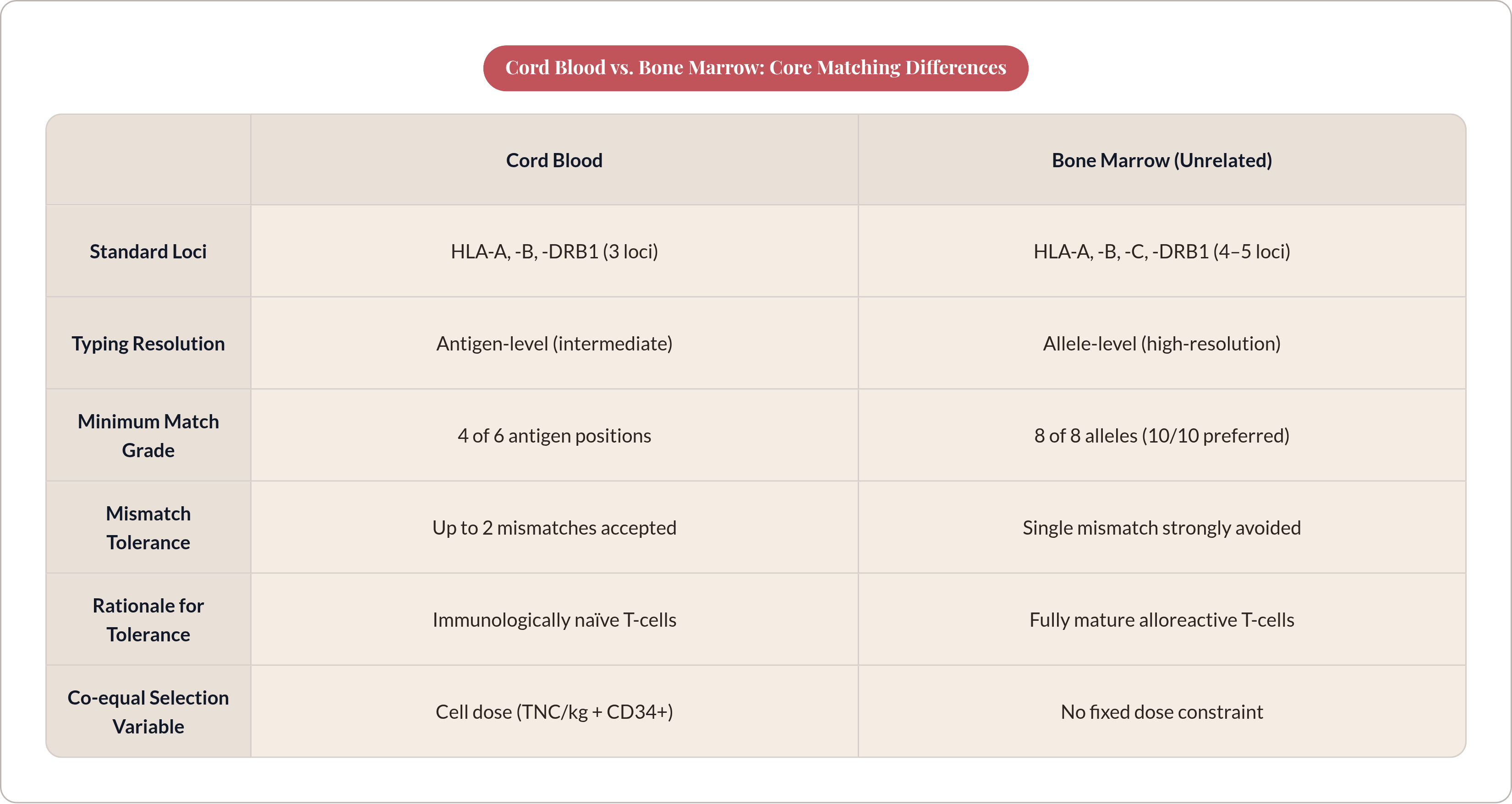 Table: Cord Blood vs. Bone Marrow: Core Matching Differences. Compares Standard Loci, Typing Resolution, Minimum Match Grade, Mismatch Tolerance, and 2 more by Cord Blood and Bone Marrow (Unrelated).