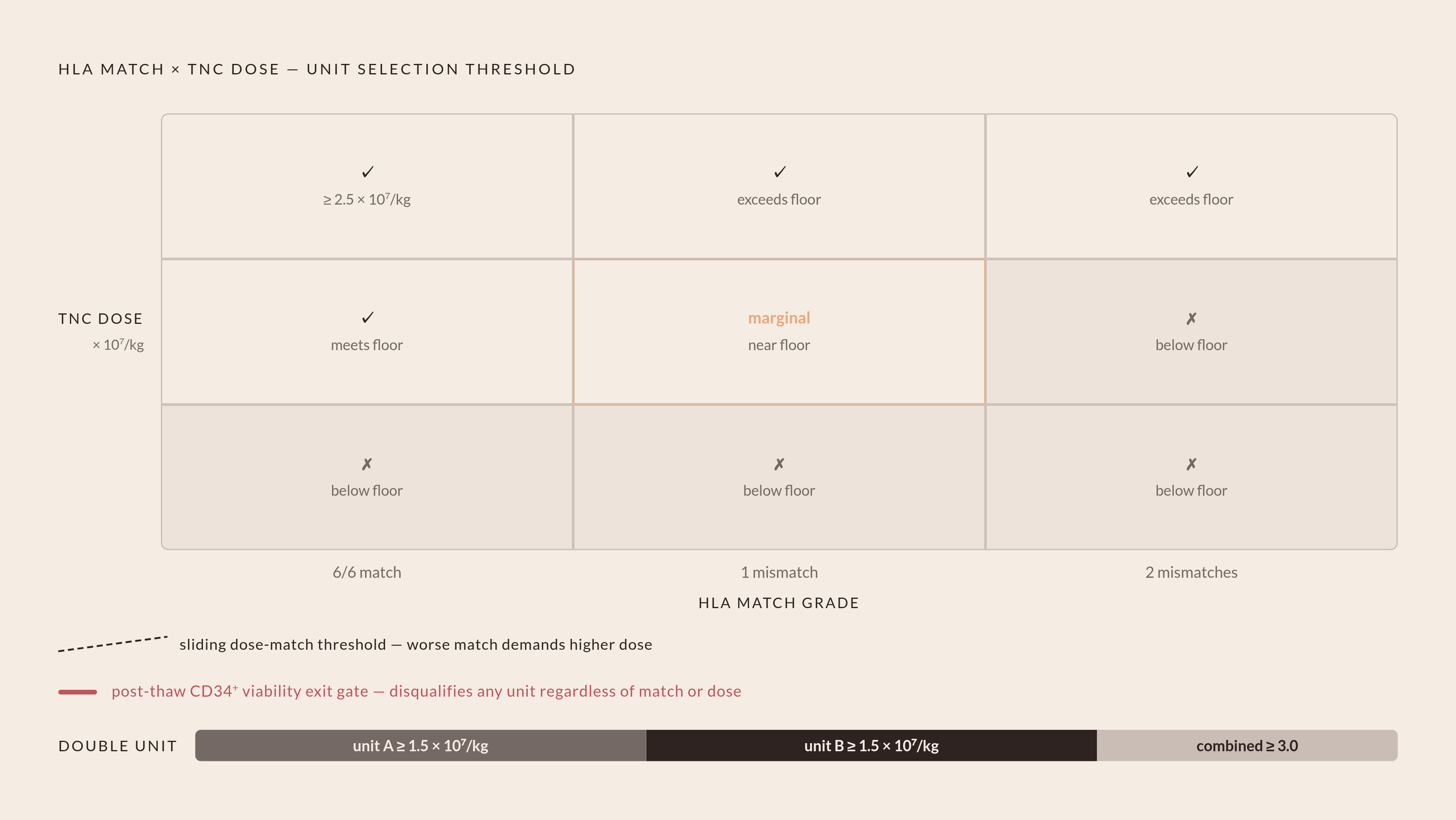 Diagram: Match Grade and Cell Dose: Both Required, Neither Sufficient. Visualizes: Visualize the joint selection logic for cord blood units: HLA match grade and total nucleated cell (TNC) dose per kilogram of recipient body weight are co-equal…
