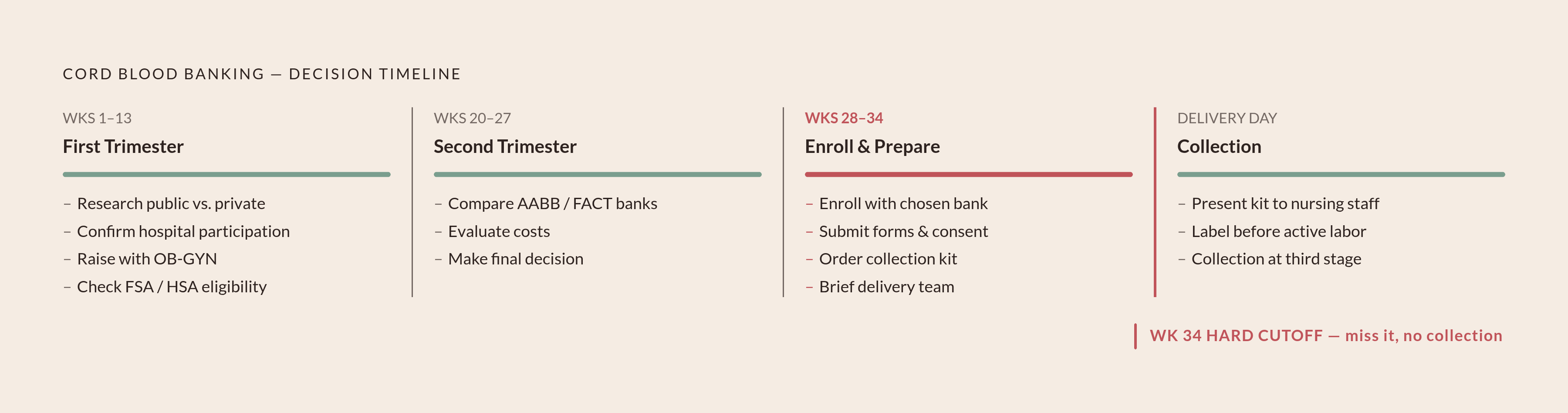 Diagram: The Cord Blood Decision Timeline. Visualizes: Visualize the four-phase decision timeline for cord blood banking, showing when each action must happen during pregnancy.