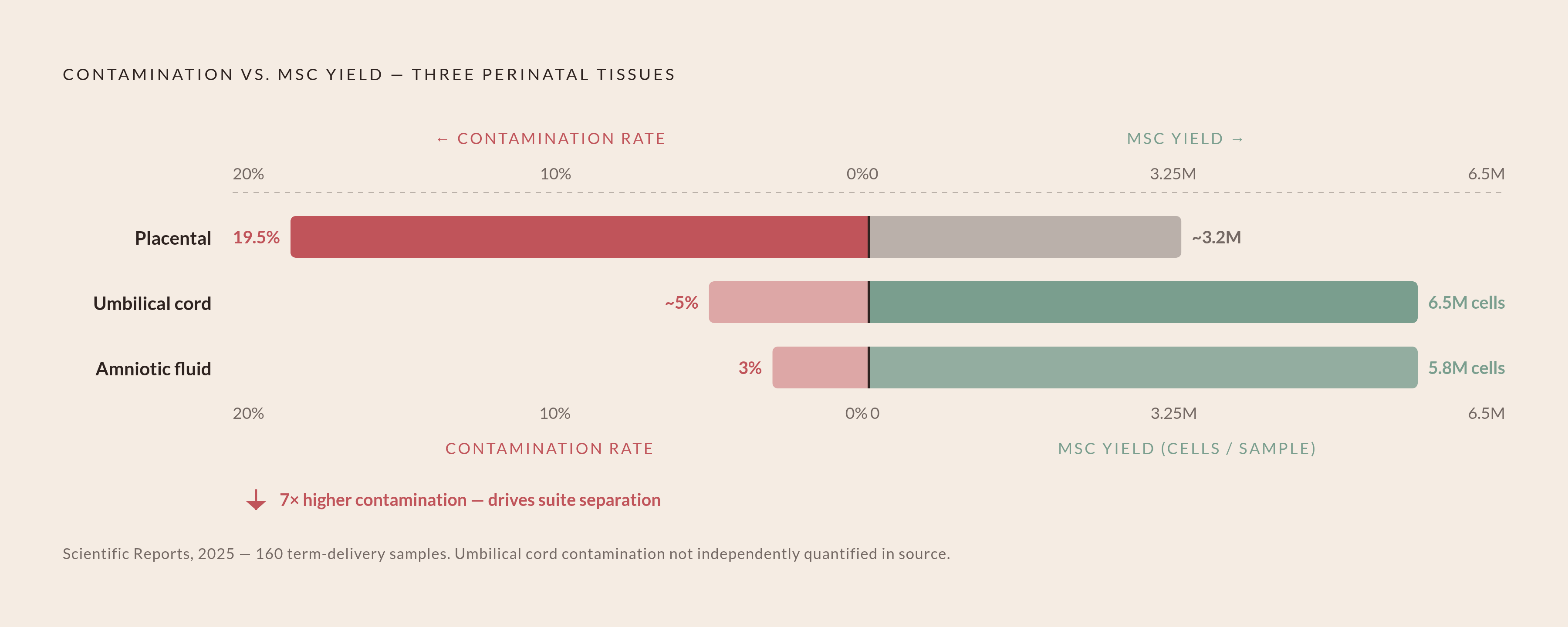 Diagram: Perinatal Tissue: Contamination Rate vs. Cell Yield by Source. Visualizes: Visualize the contrast between microbial contamination rate and MSC yield across three perinatal tissue types, using data from a 2025 Scientific Reports study of…