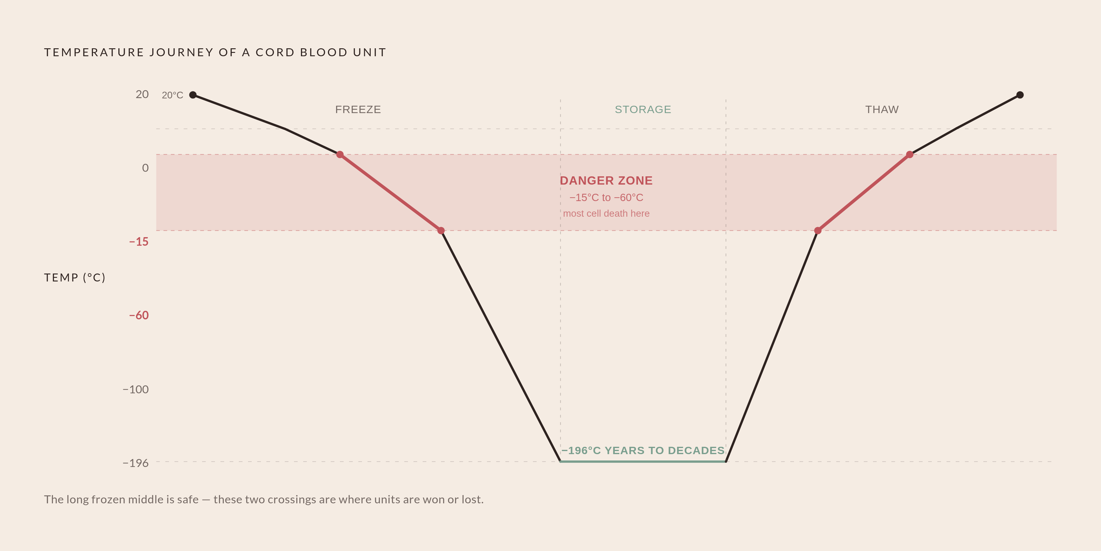 Diagram: The Dangerous Window: Where Cell Loss Actually Happens. Visualizes: Visualize the temperature journey a cord blood unit takes during freezing and thawing, showing that the critical danger zone is the −15°C to −60°C band cells must cross…
