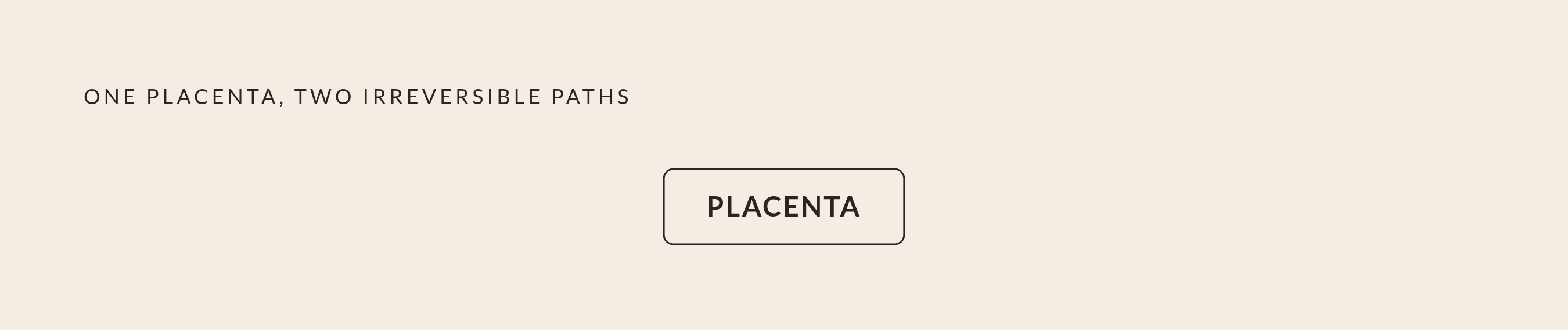 Diagram: One Placenta, Two Incompatible Fates. Visualizes: Show a stark binary split: a single placenta at center, forking left into encapsulation (dried, ground, 200–300 capsules, stem cells destroyed) and right into banking (frozen at -196°C…