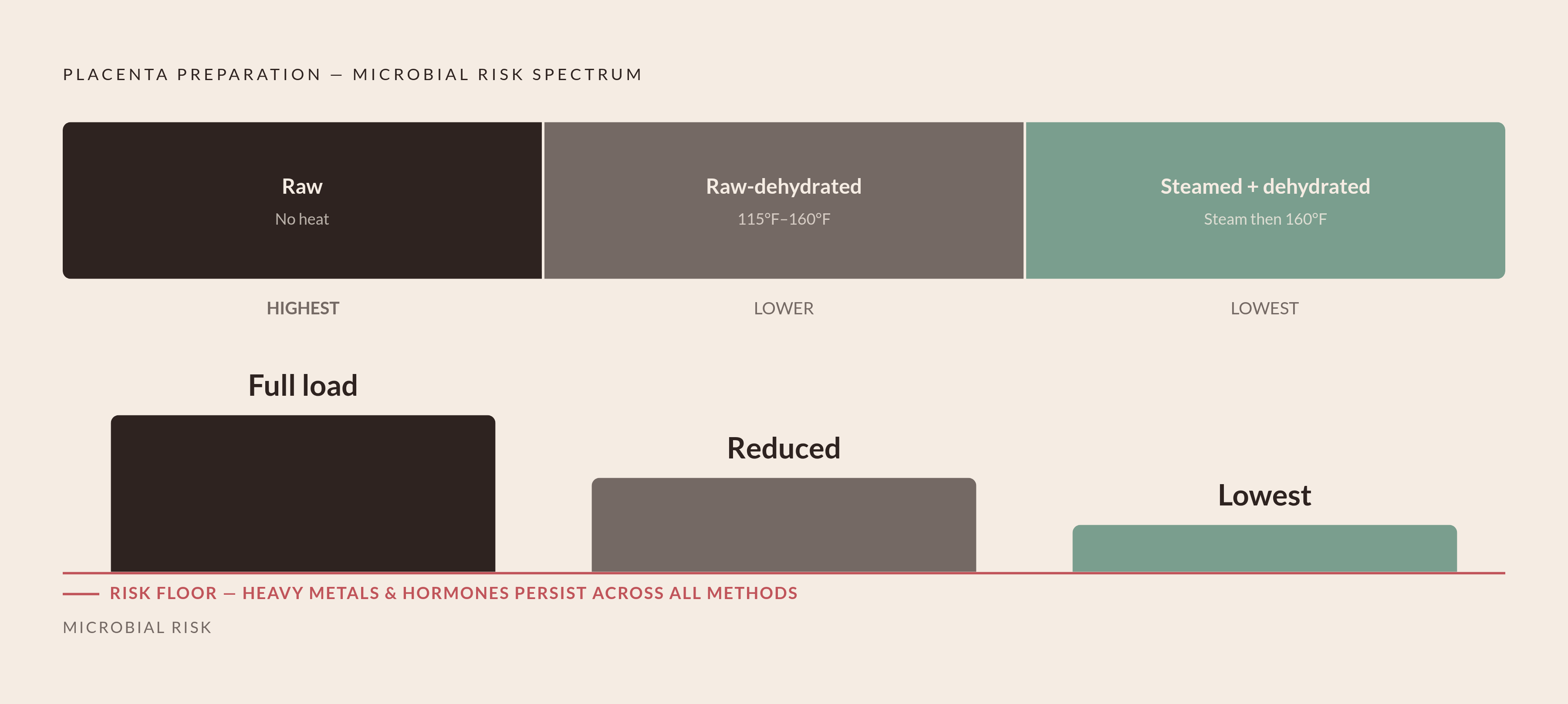Diagram: Placenta Preparation Methods: Risk Along a Spectrum. Visualizes: Show three preparation methods arranged left-to-right as a risk spectrum, from highest to lowest microbial risk: (1) Raw consumption — no heat, full bacterial load retained…