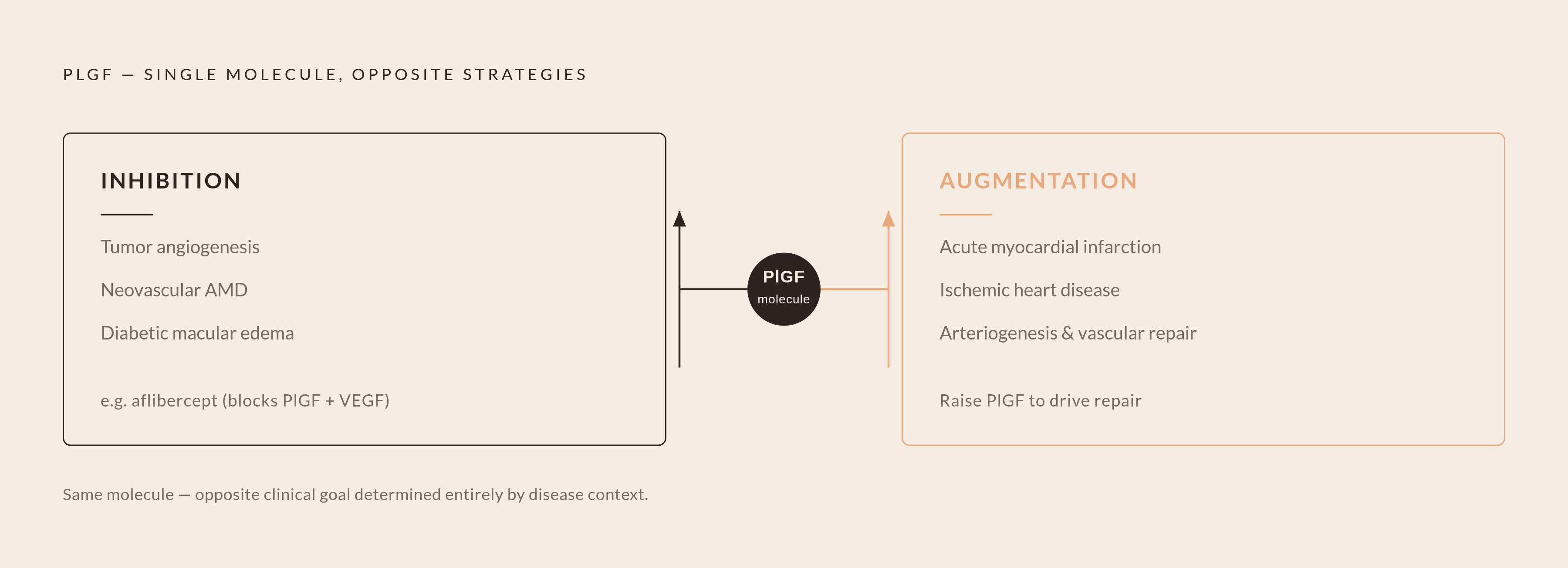 Diagram: PlGF in Disease: Block It or Boost It. Visualizes: Visualize the clean therapeutic split for PlGF across disease contexts: in cancer and retinal disease (tumor angiogenesis, neovascular AMD, diabetic macular edema), the clinical goal is…
