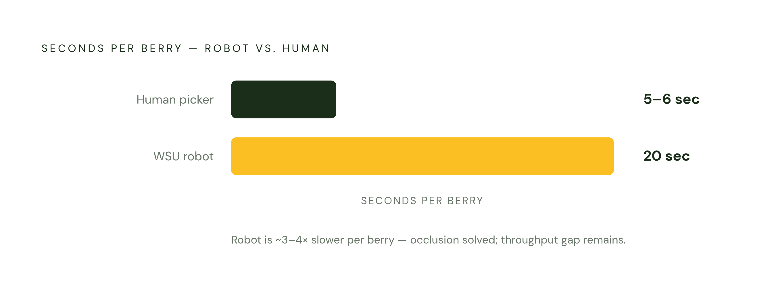 Diagram: The Speed Gap: Robot vs. Human Picker. Visualizes: Visualize the stark throughput contrast between the WSU fan-assisted harvester and a human picker.