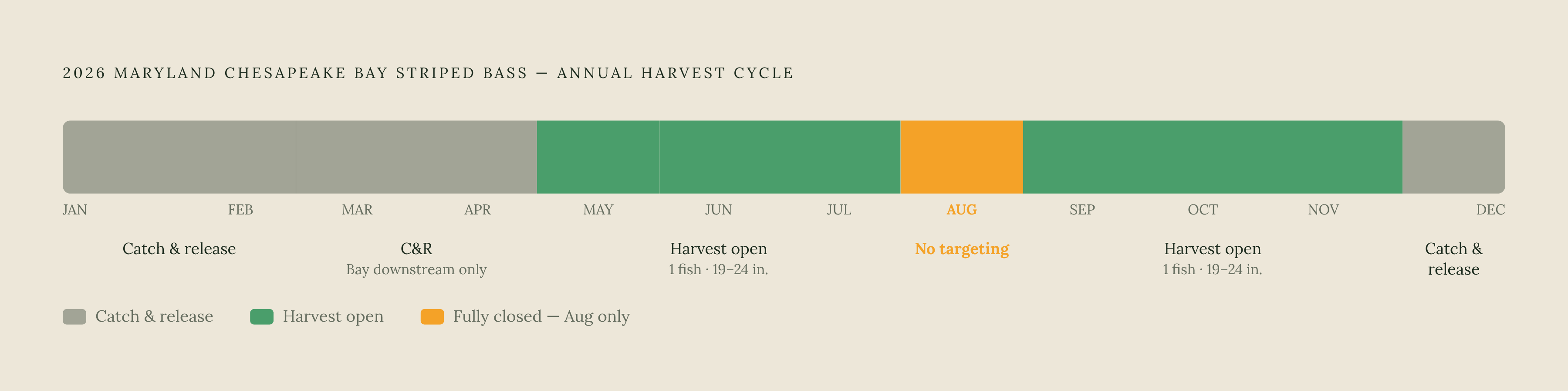 Diagram: Maryland's 2026 Chesapeake Bay Striped Bass Season at a Glance. Visualizes: Show the full-year cycle of Maryland's 2026 Chesapeake Bay striped bass regulations as a linear timeline spanning January through December, with each period…