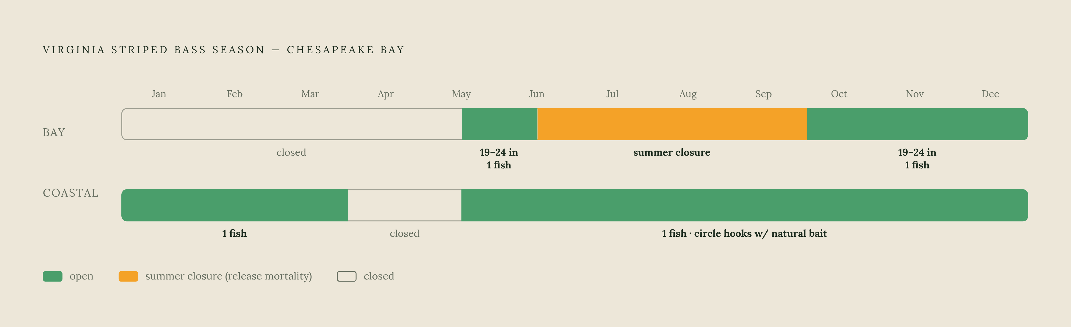 Diagram: Virginia's Striped Bass Season Windows at a Glance. Visualizes: Lay out Virginia's Chesapeake Bay striped bass calendar as a linear year showing open and closed periods with their rules.