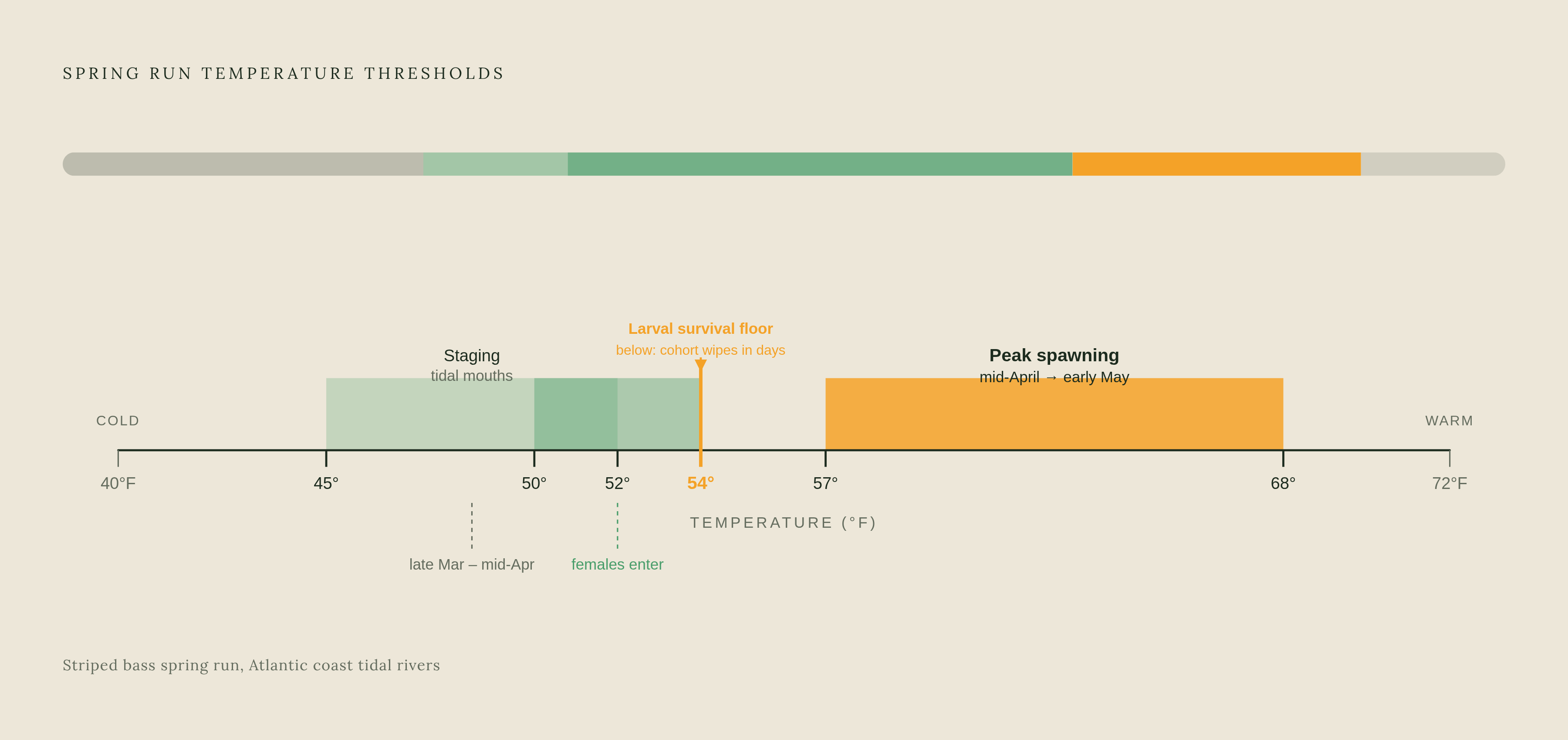 Diagram: The Spawning Temperature Ladder. Visualizes: Visualize the stepped temperature thresholds that govern the entire spring run sequence, using the specific values from the article.