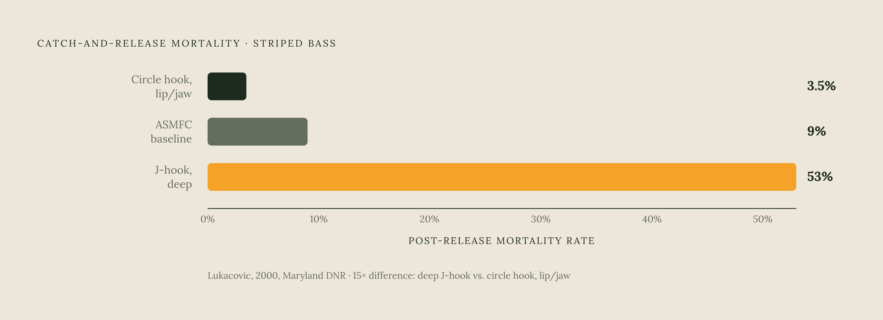 Diagram: How Hook Choice and Location Multiply Mortality. Visualizes: Show how two factors — hook type and hooking location — compound to produce dramatically different survival outcomes for released striped bass.