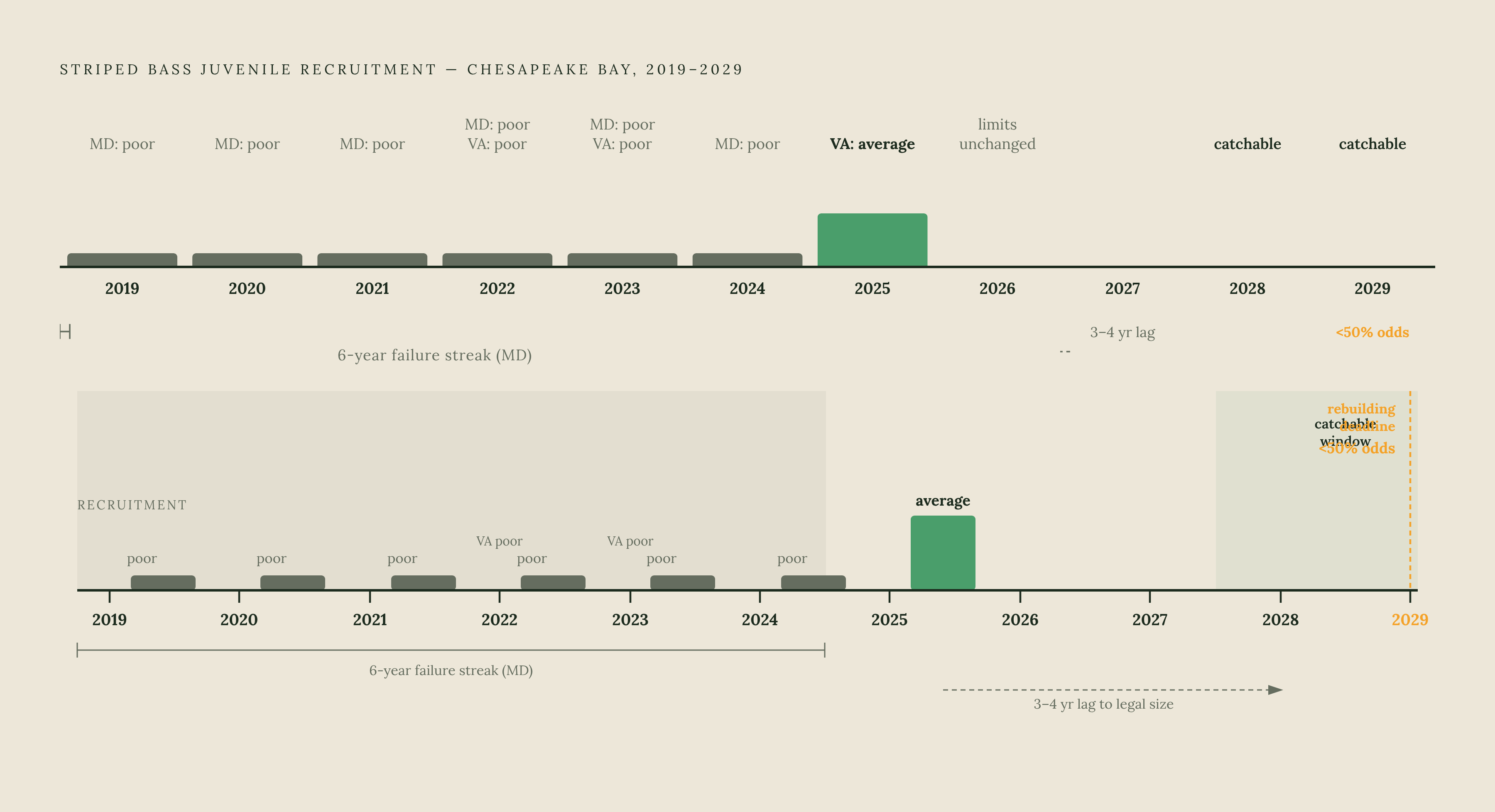 Diagram: Six Years of Failed Reproduction — and a Slim Recovery Window. Visualizes: Show a timeline of striped bass juvenile recruitment in the Chesapeake Bay from roughly 2019 through 2029, anchored by the concrete facts in the article: six…