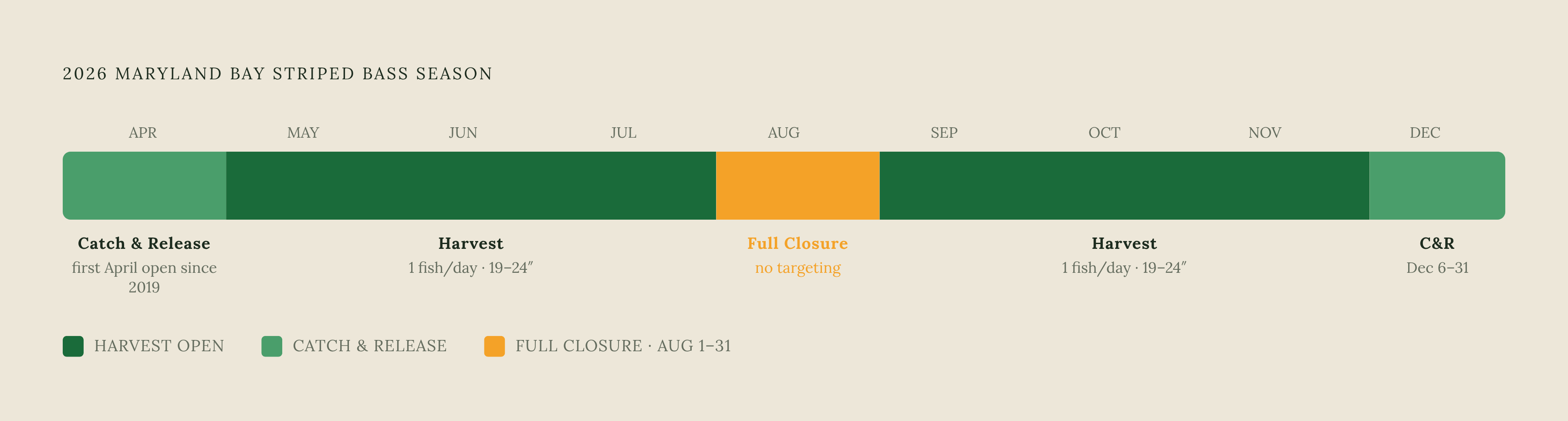 Diagram: Maryland Striped Bass Season Calendar 2026. Visualizes: Visualize the 2026 Maryland Bay striped bass season as a 12-month timeline showing the distinct regulatory windows: April 1–30 (catch-and-release only, first April open since 2019)…