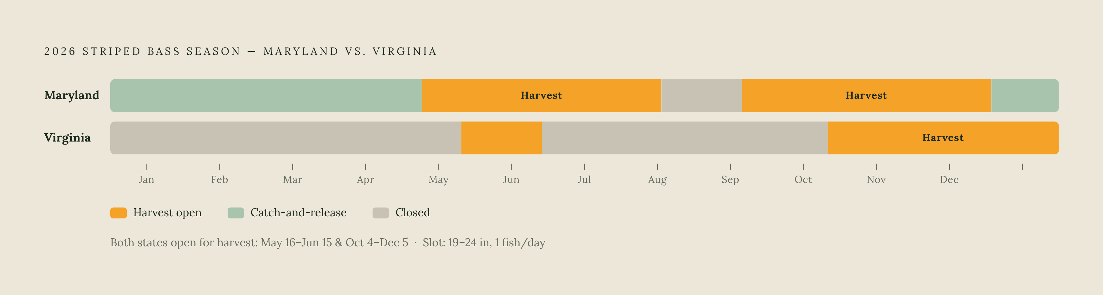 Diagram: Maryland vs. Virginia: Bay Harvest Windows Side by Side. Visualizes: Show the full 2026 calendar year (January through December) as two parallel horizontal timelines — one for Maryland, one for Virginia — divided into color-coded segments…