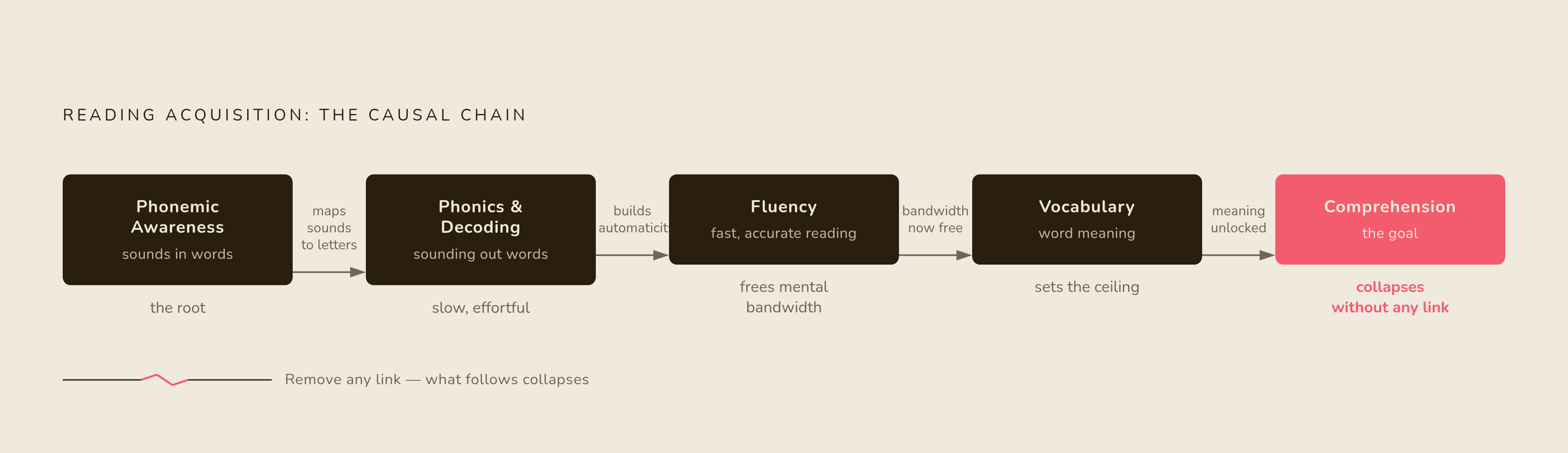 Diagram: The Five-Pillar Reading Chain. Visualizes: Visualize the causal chain the article describes: phonemic awareness underlies decoding, decoding enables fluency, fluency frees up mental bandwidth for comprehension, and vocabulary determines…