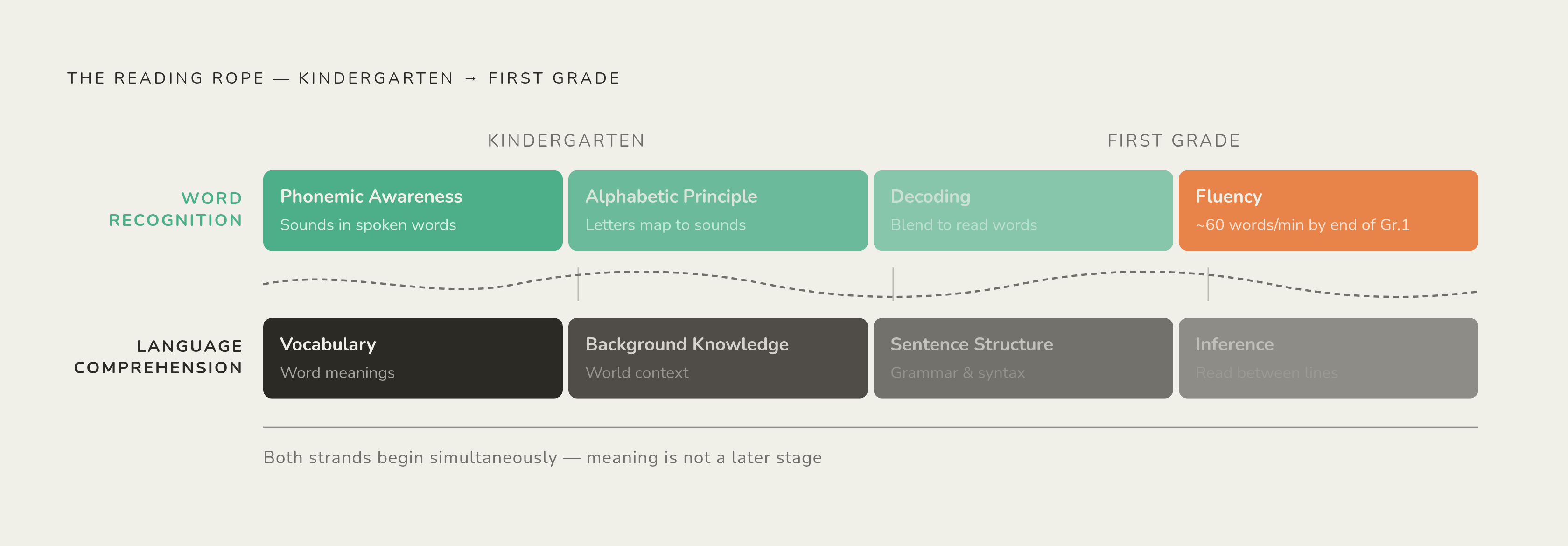 Diagram: The Reading Rope: Two Strands, One Continuous Process. Visualizes: Illustrate the kindergarten-to-first-grade reading development sequence as two parallel strands braiding together, matching Hollis Scarborough's rope model described in the…
