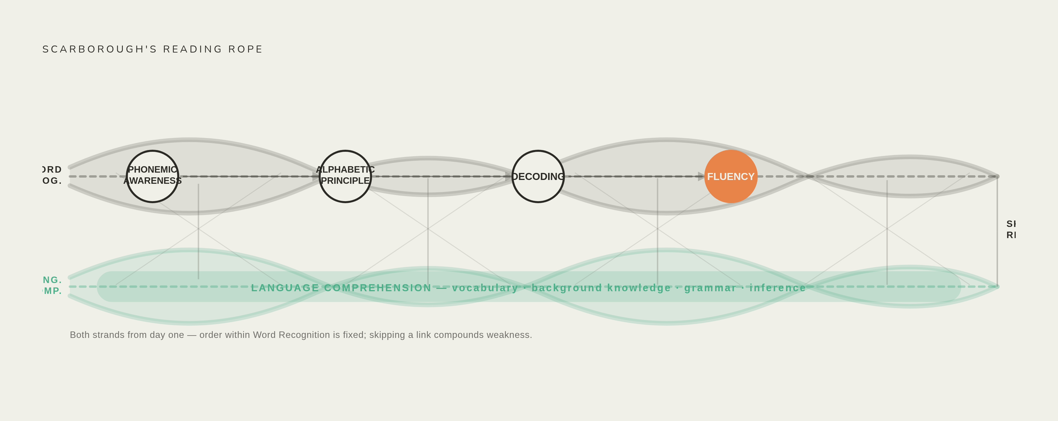 Diagram: The Reading Rope: Two Strands, One Continuous Braid. Visualizes: Illustrate Hollis Scarborough's Reading Rope model as described in the article: two strands — 'Word Recognition' (with its internal sequence: phonemic awareness → alphabetic…