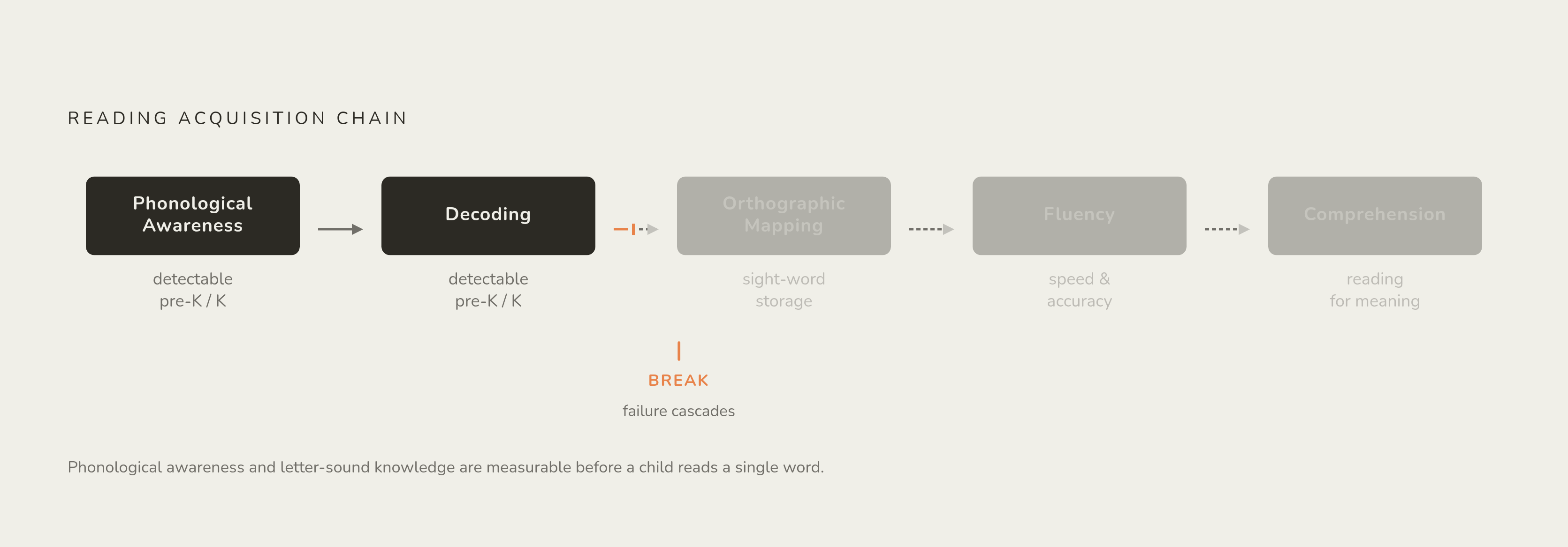 Diagram: The Reading Chain: Where a Break Happens. Visualizes: Visualize the sequential processing chain that skilled reading requires: phonological awareness → decoding → orthographic mapping → fluency → comprehension.