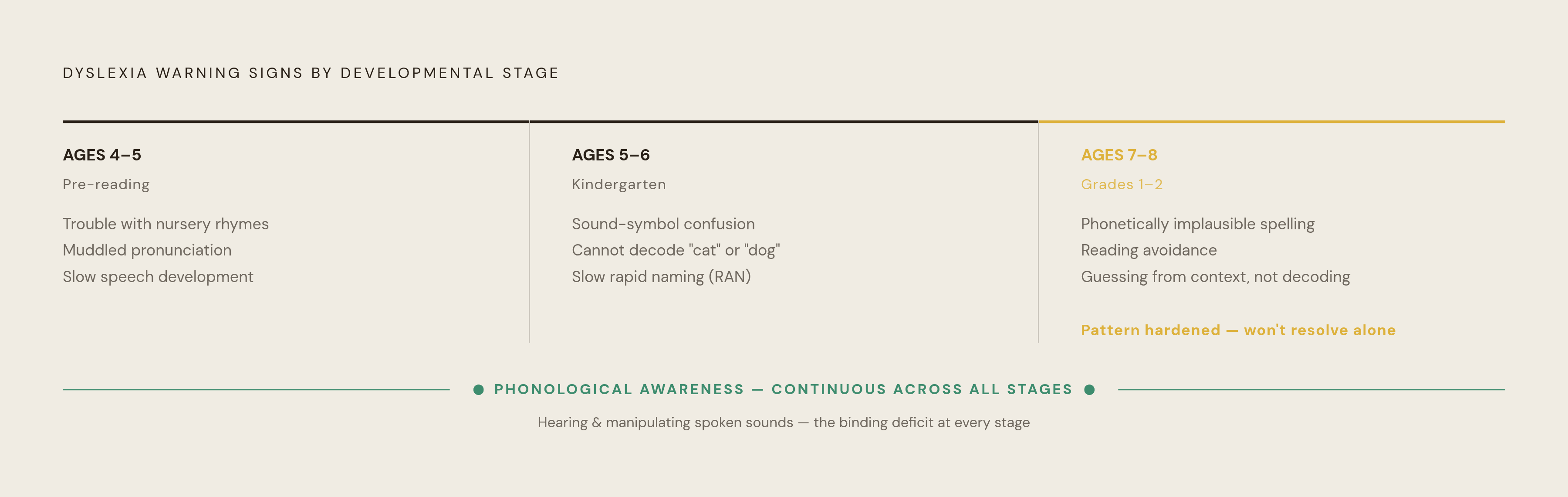 Diagram: Dyslexia's Early Warning Signs by Age. Visualizes: Show how warning signs shift across three developmental stages: ages 4–5 (pre-reading: trouble with nursery rhymes, muddled pronunciation, slow speech development), ages 5–6 (kindergarten…