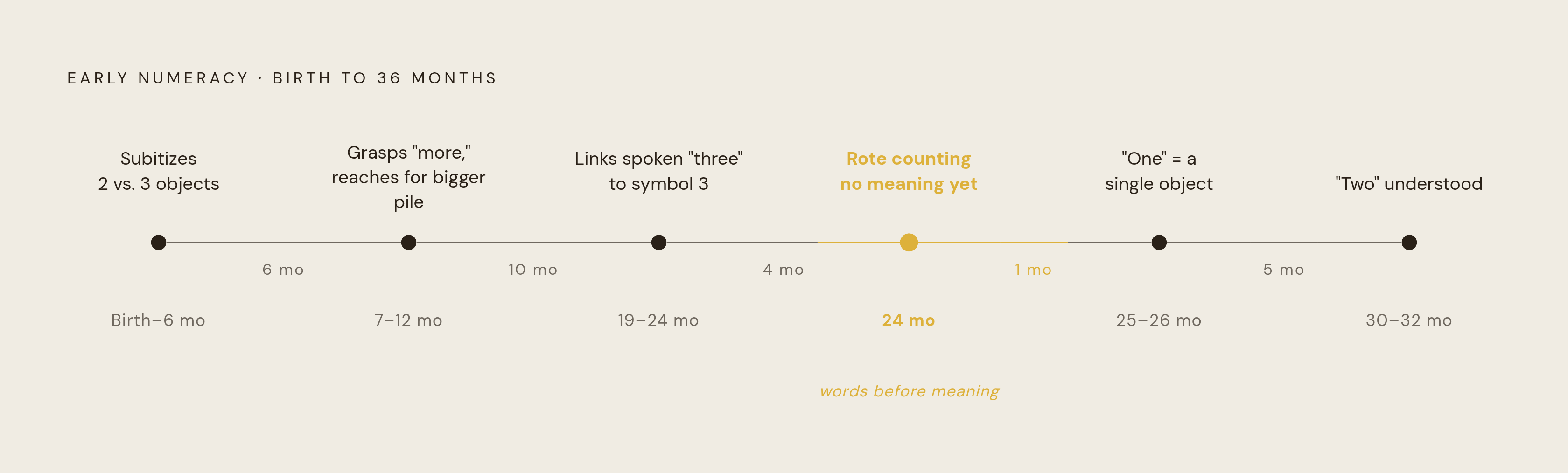 Diagram: How Number Sense Builds: Birth to Age 3. Visualizes: Show a developmental timeline of early numeracy milestones from birth to 36 months, using the exact ages and skills from the article: birth–6 months (subitizing: noticing 2 vs.