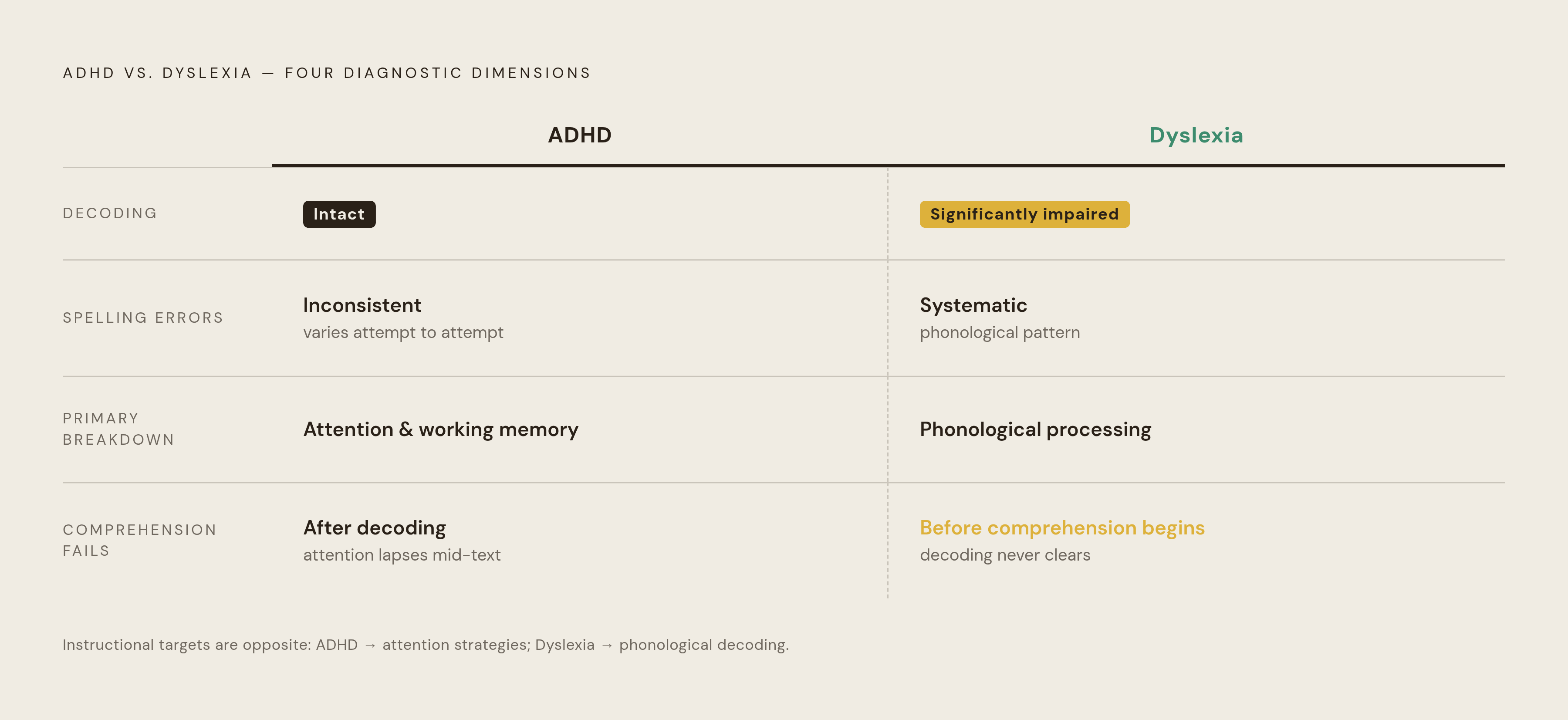 Diagram: ADHD vs. Dyslexia: Different Roots of Reading Failure. Visualizes: Visualize a side-by-side contrast of ADHD and dyslexia across four specific dimensions: Decoding (ADHD: intact; Dyslexia: significantly impaired), Spelling errors (ADHD…