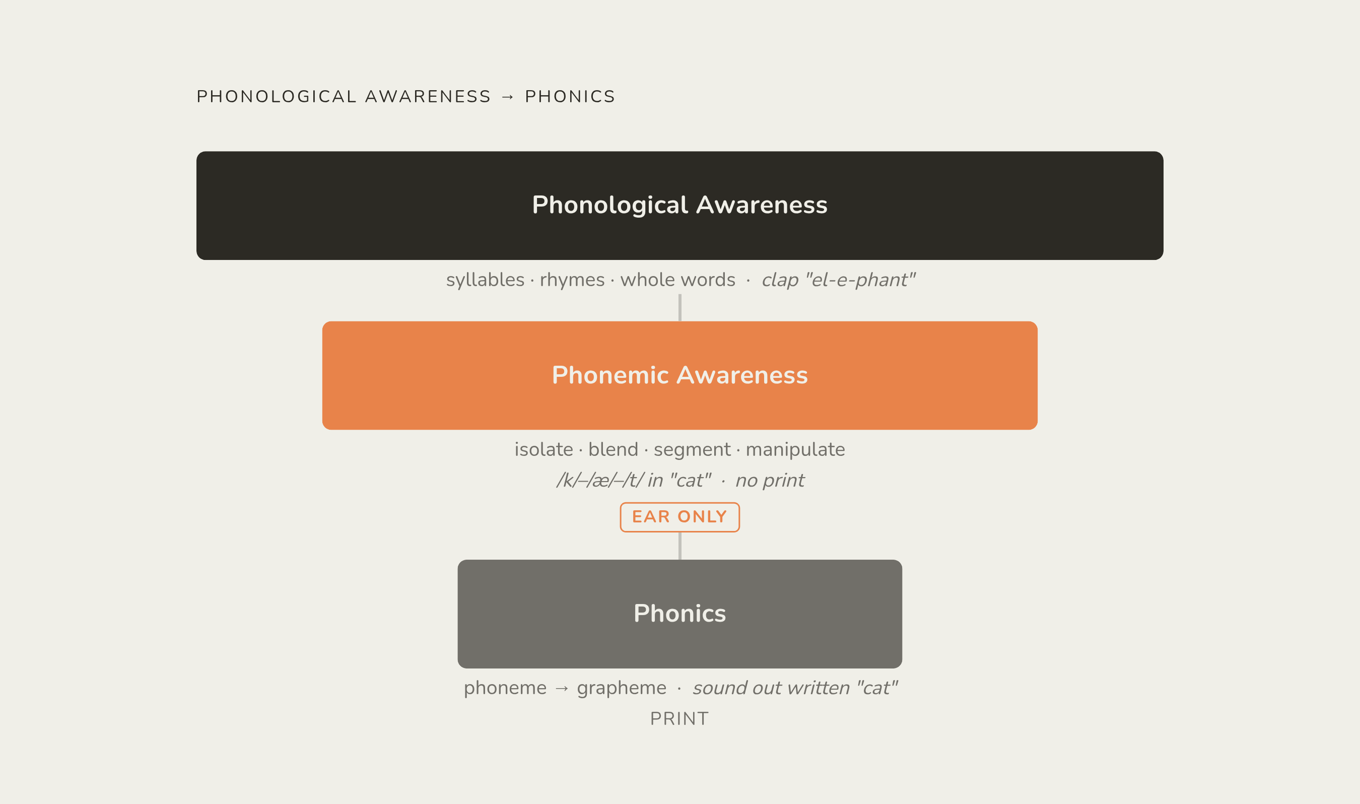 Diagram: The Three Levels: Phonological Awareness, Phonemic Awareness, and Phonics. Visualizes: Show a nested or layered hierarchy with three levels, moving from broadest to narrowest: Phonological Awareness (hearing and playing with chunks of…