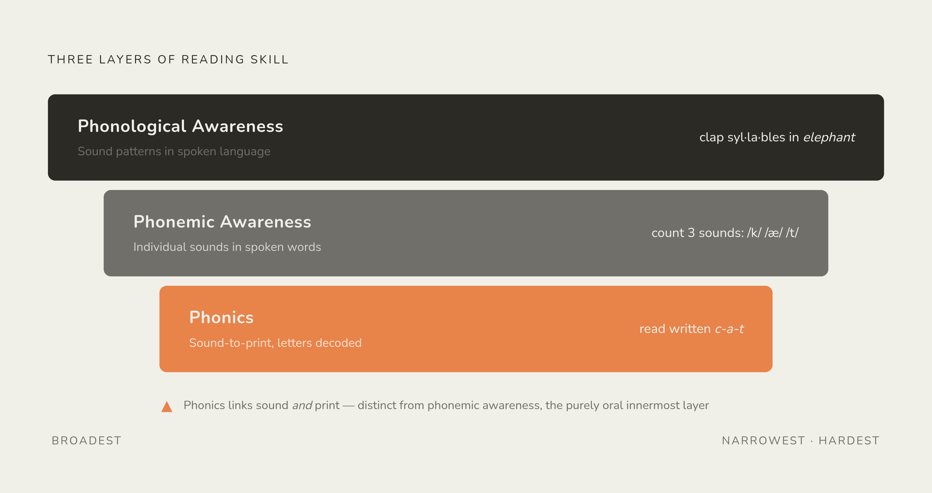 Diagram: The Three Levels: From Broad to Narrow. Visualizes: Show the nested, hierarchical relationship among three distinct skills — phonological awareness (broadest), phonemic awareness (narrowest, hardest), and phonics (connects sound to print)…