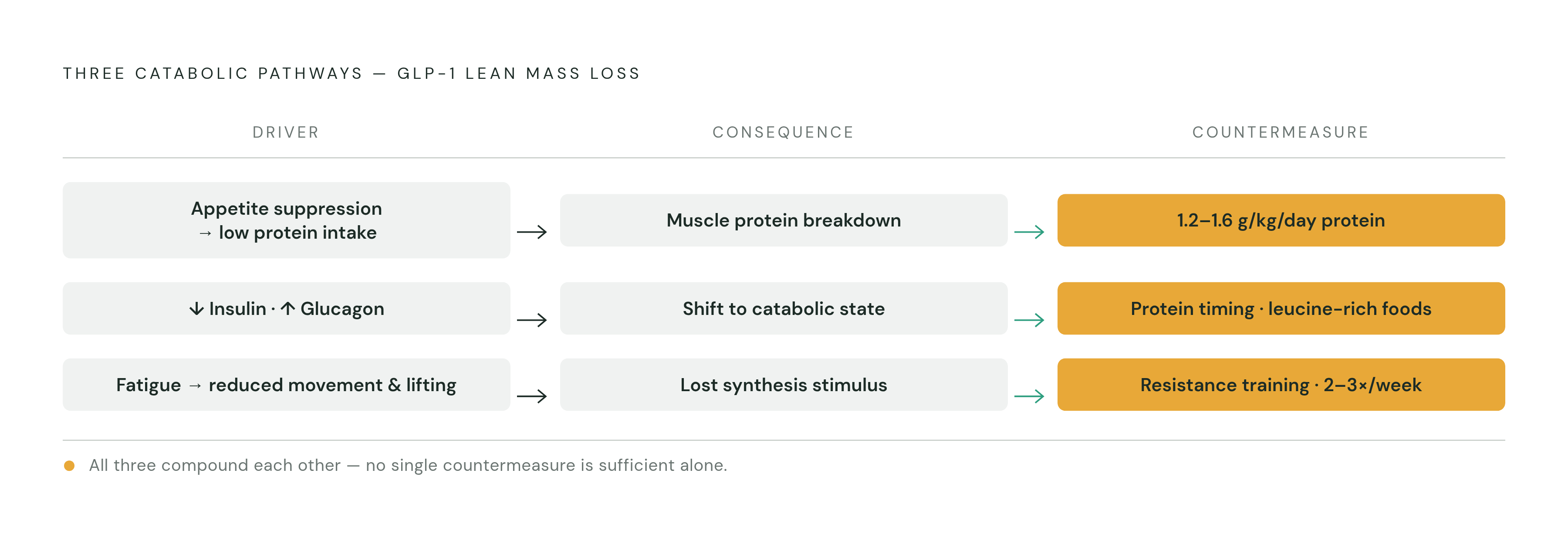 Diagram: How Three Mechanisms Compound Lean Mass Loss on GLP-1 Therapy. Visualizes: Illustrate three converging catabolic pathways that drive lean mass loss during GLP-1 therapy, each paired with its direct countermeasure.