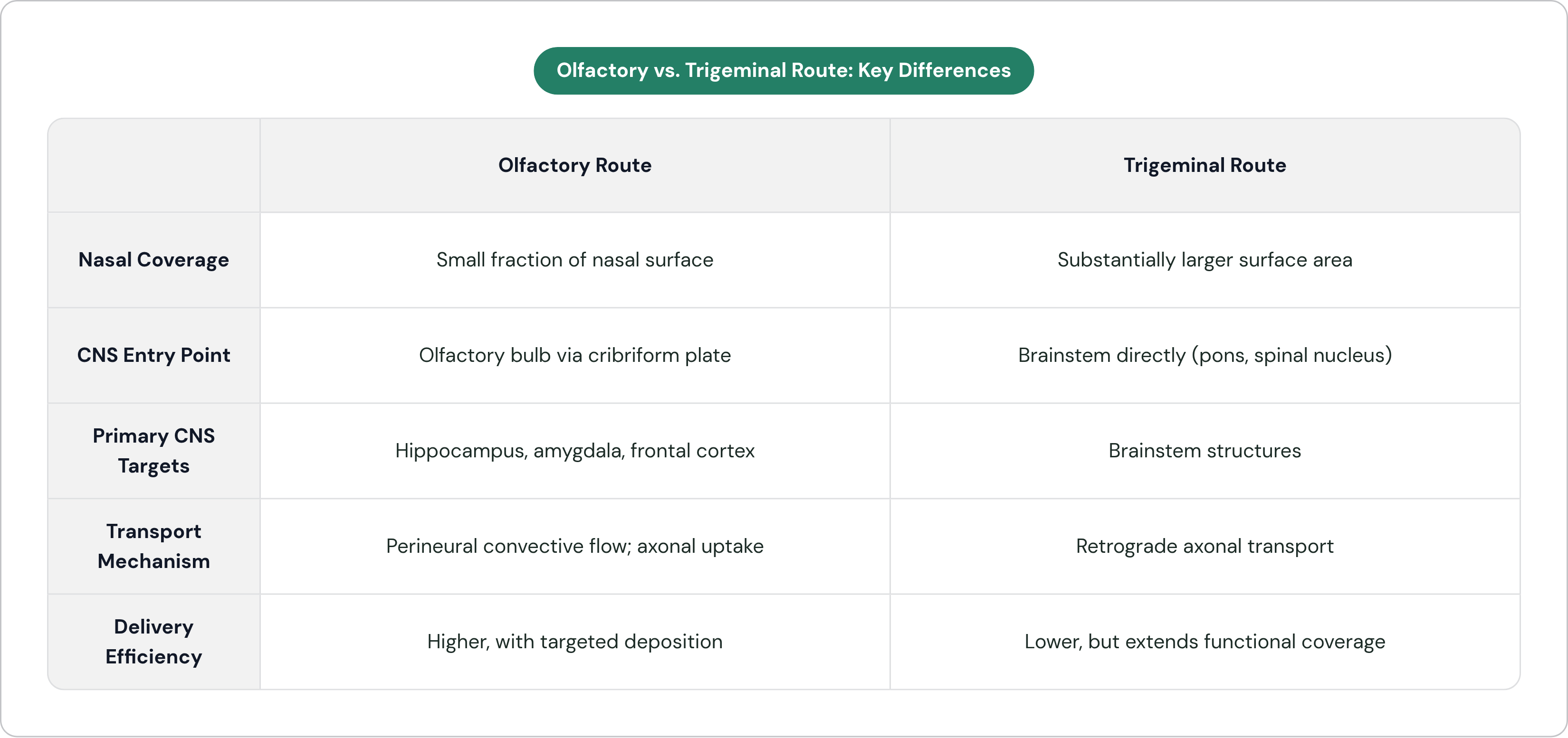 Table: Olfactory vs. Trigeminal Route: Key Differences. Compares Nasal Coverage, CNS Entry Point, Primary CNS Targets, Transport Mechanism, and 1 more by Olfactory Route and Trigeminal Route.