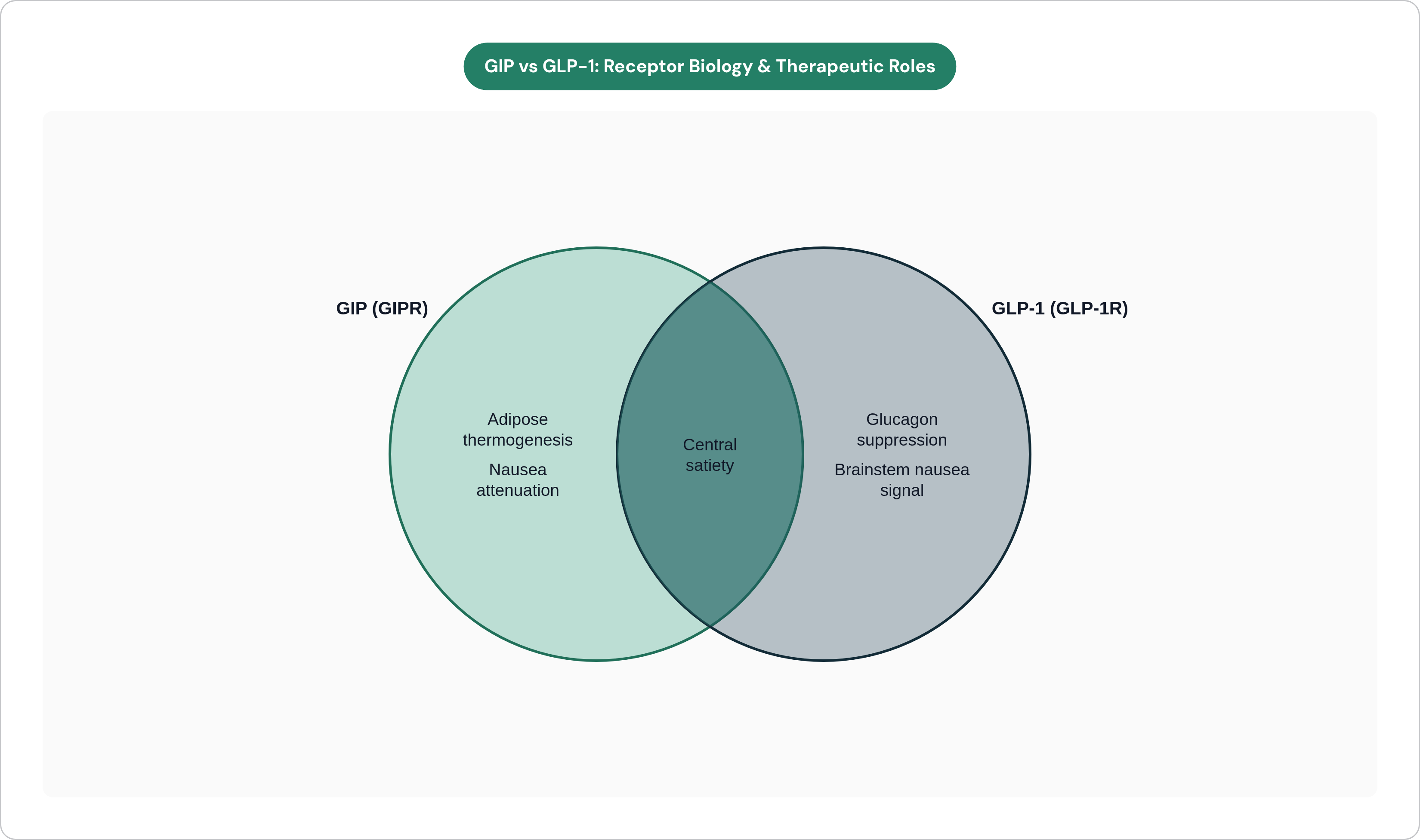 Venn diagram: GIP vs GLP-1: Receptor Biology & Therapeutic Roles. Compares GIP (GIPR) and GLP-1 (GLP-1R); overlap: Shared Actions.