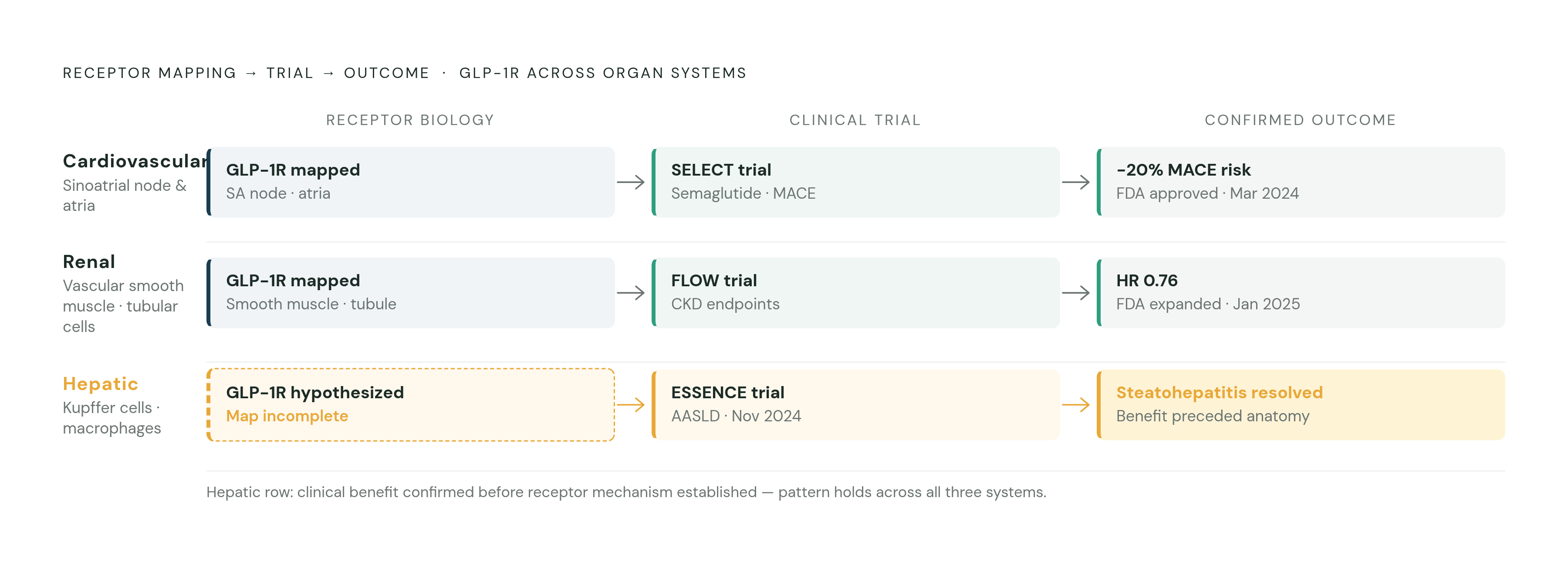 Diagram: Anatomy Led, Trials Followed. Visualizes: Show a three-row sequence tracking how receptor biology preceded clinical confirmation across three organ systems: (1) Cardiovascular — GLP-1R mapped at sinoatrial node and atria → SELECT trial →…