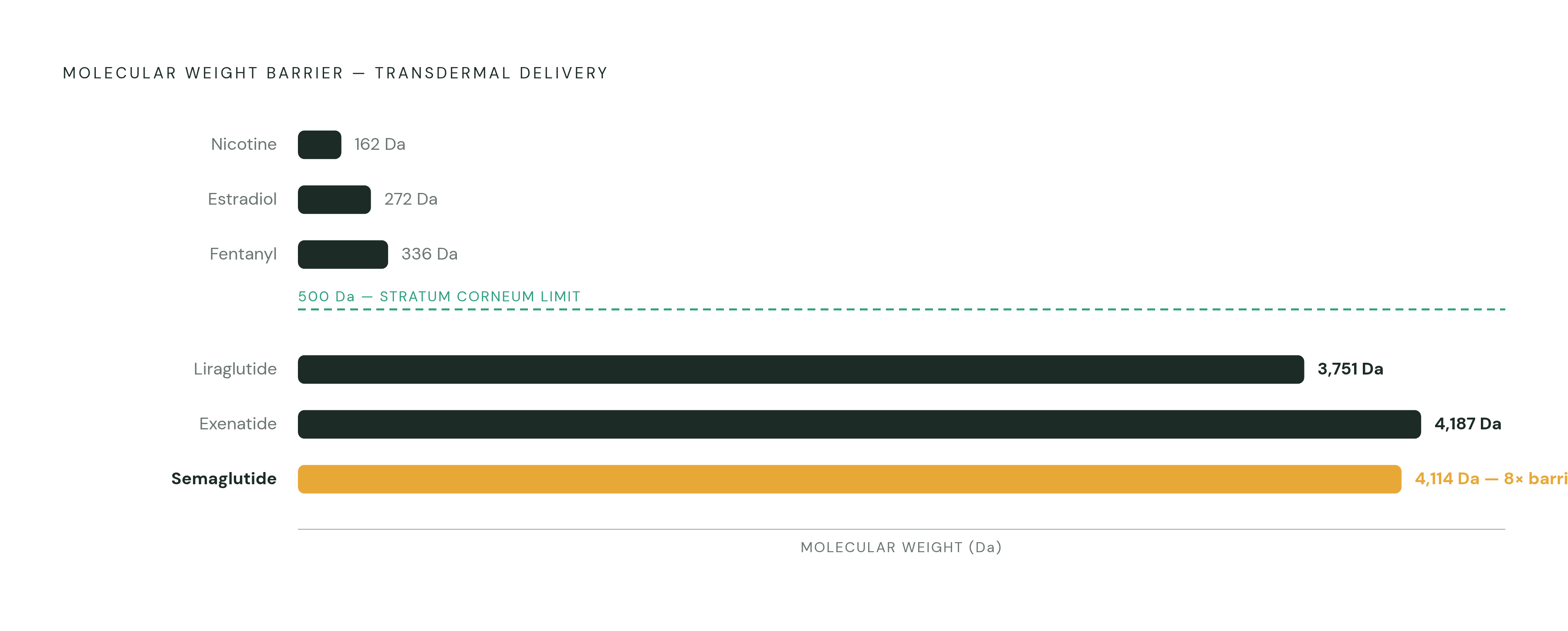 Diagram: Why GLP-1 Peptides Can't Cross Skin Passively. Visualizes: Visualize the molecular weight barrier that blocks transdermal GLP-1 delivery.