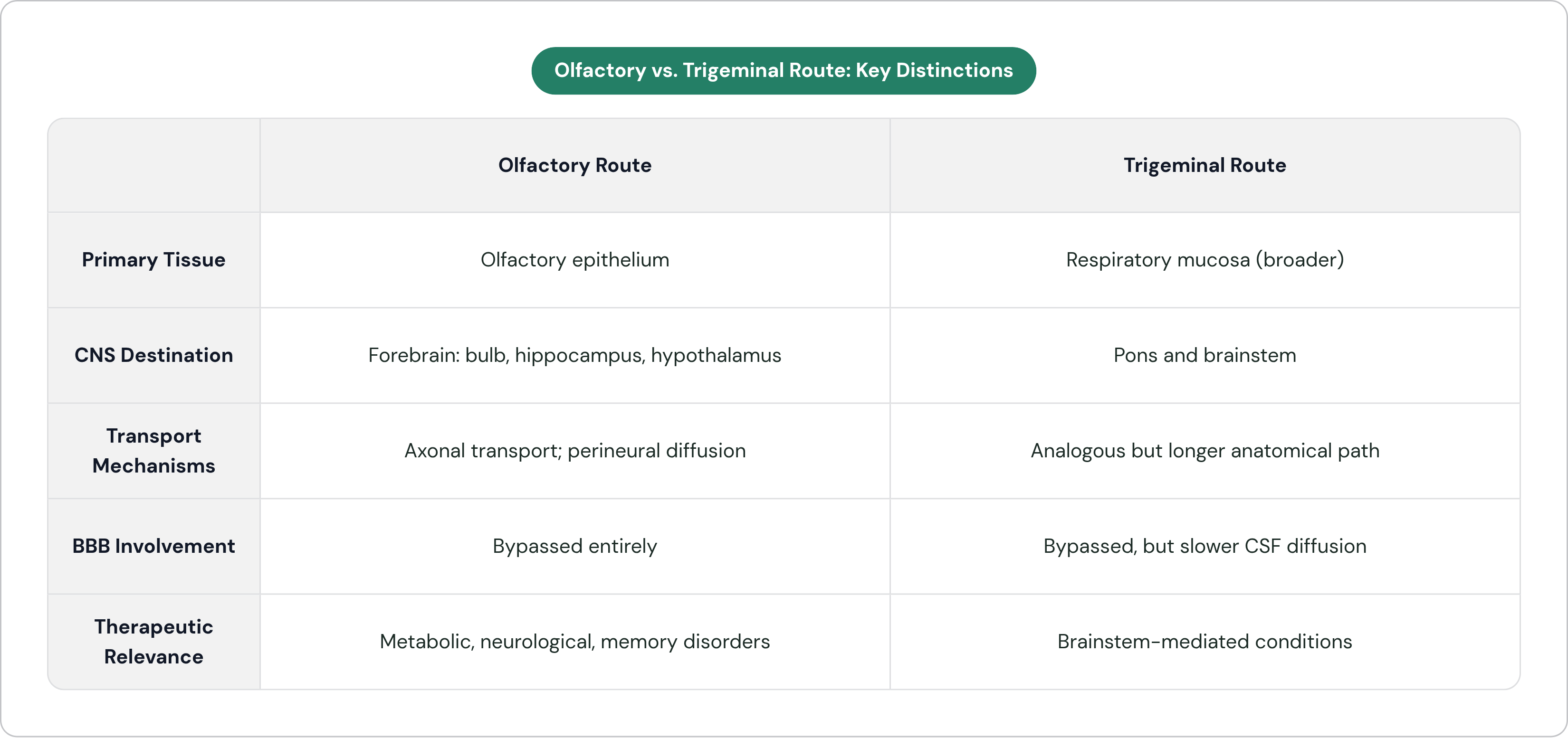 Table: Olfactory vs. Trigeminal Route: Key Distinctions. Compares Primary Tissue, CNS Destination, Transport Mechanisms, BBB Involvement, and 1 more by Olfactory Route and Trigeminal Route.