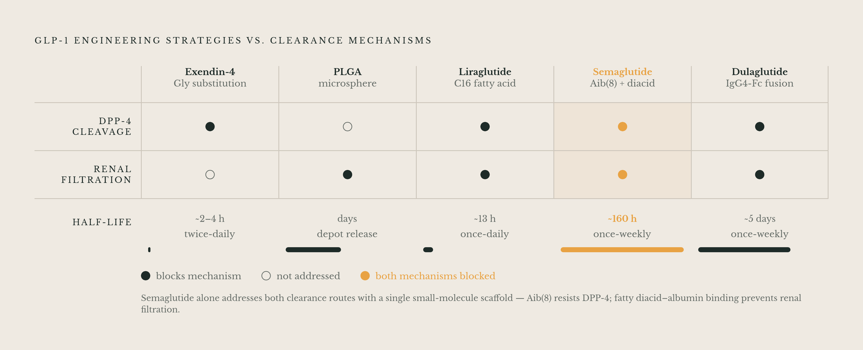 Diagram: Two Clearance Problems, Five Engineering Answers. Visualizes: Show how the five GLP-1 engineering strategies each address one or both of two independent clearance mechanisms: DPP-4 enzymatic cleavage and renal filtration.