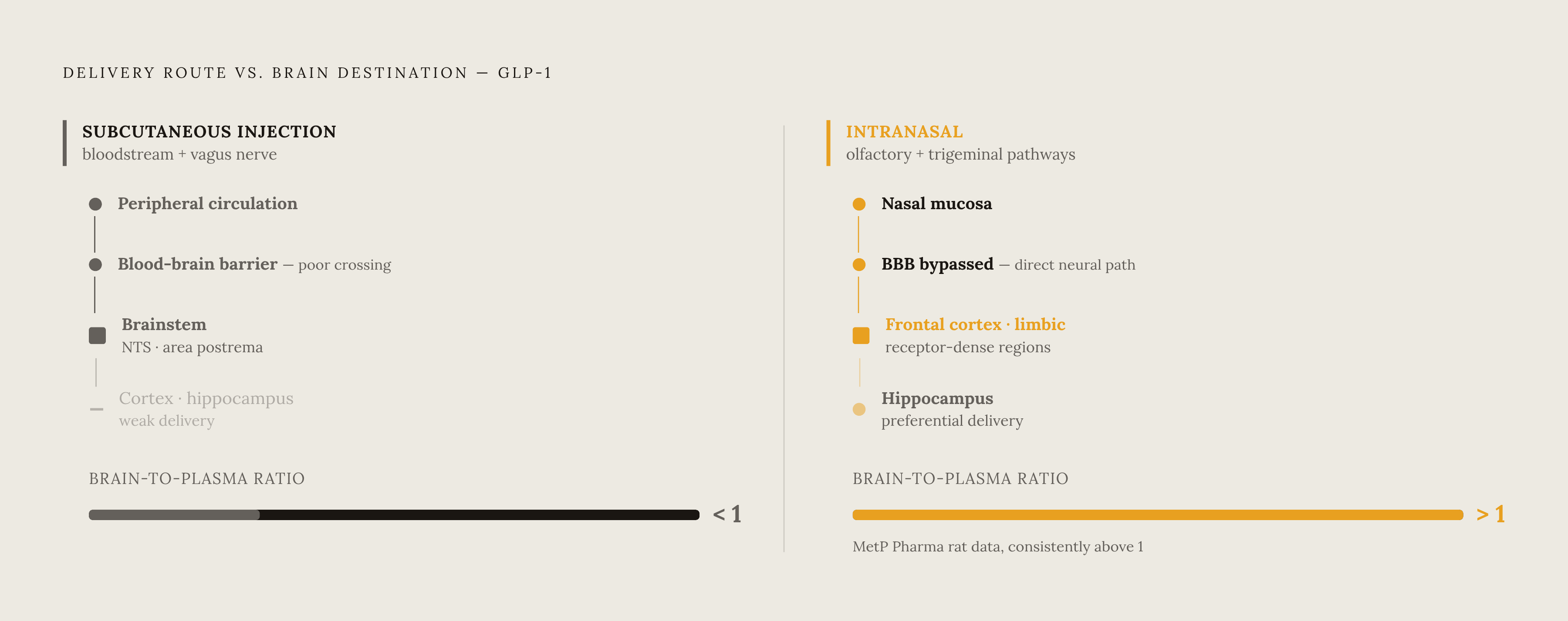 Diagram: Why Injection Misses the Target: Route vs. Receptor Geography. Visualizes: Illustrate the mismatch between where subcutaneous injection delivers GLP-1 signal in the brain versus where the human receptor map places the functionally…