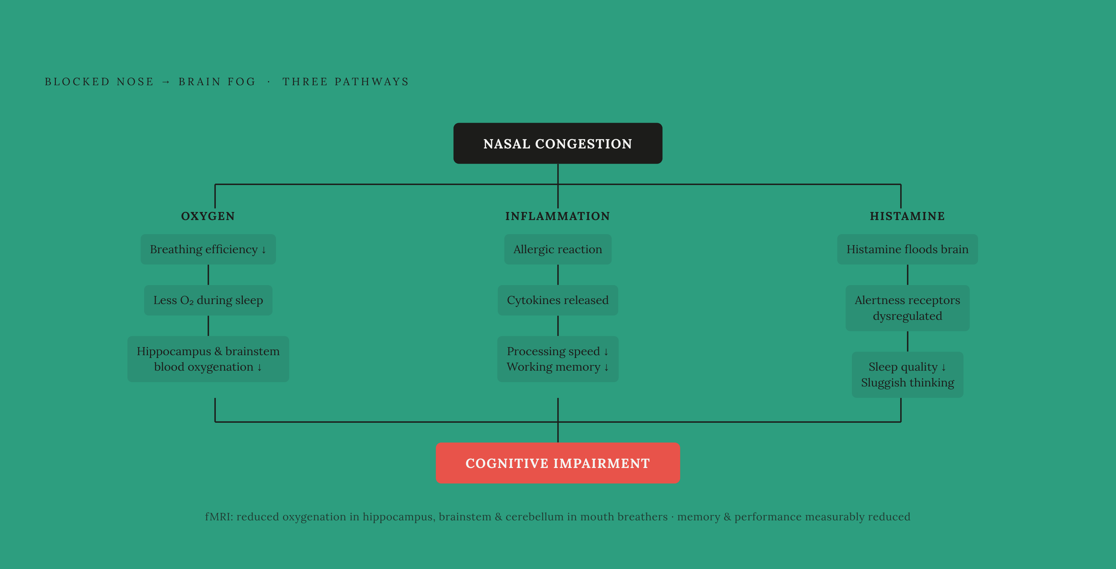 Diagram: Three Pathways from a Blocked Nose to Brain Fog. Visualizes: Visualize three parallel biological pathways that connect nasal congestion to impaired cognitive function.
