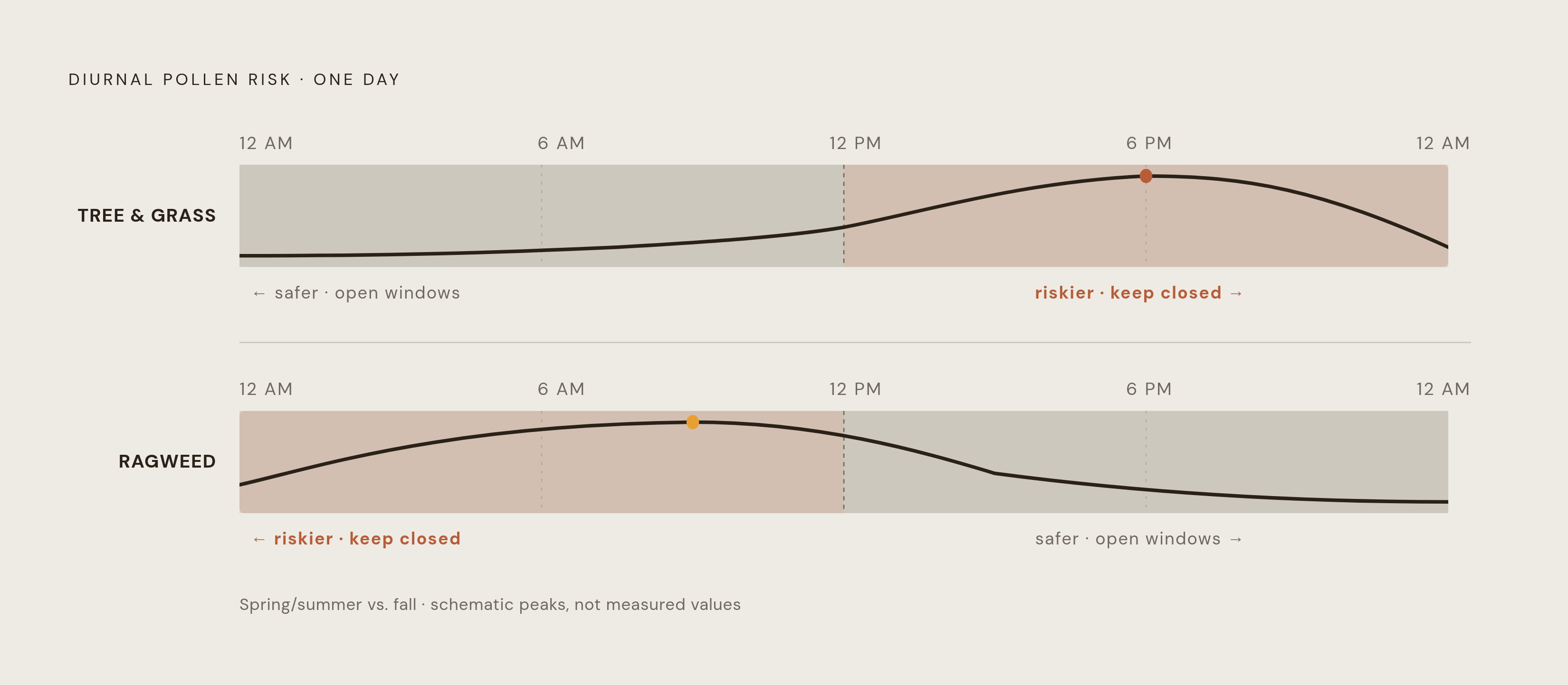 Diagram: Tree & Grass vs. Ragweed: When Pollen Peaks Each Day. Visualizes: Visualize the contrasting diurnal pollen patterns for two allergen groups on a single day arc (roughly midnight-to-midnight).