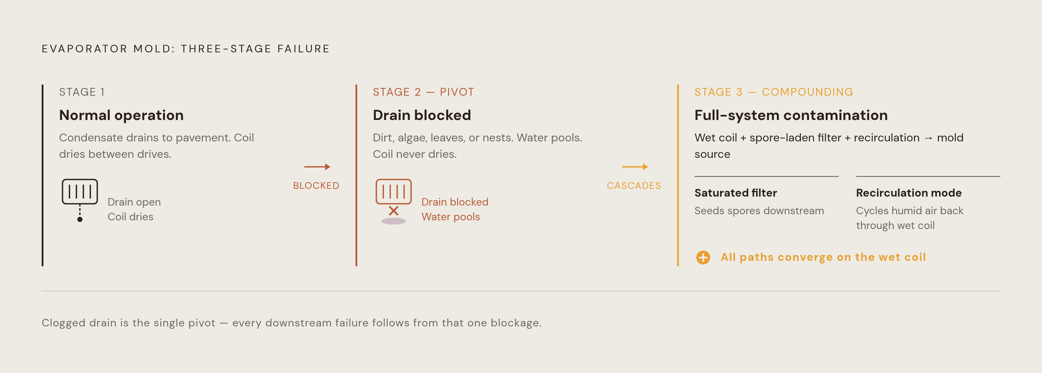 Diagram: How a Clogged Drain Turns a Damp Coil Into a Mold Reservoir. Visualizes: Show the three-stage failure sequence that transforms a functioning evaporator into a continuous mold source: (1) Normal operation — condensate drains to pavement…