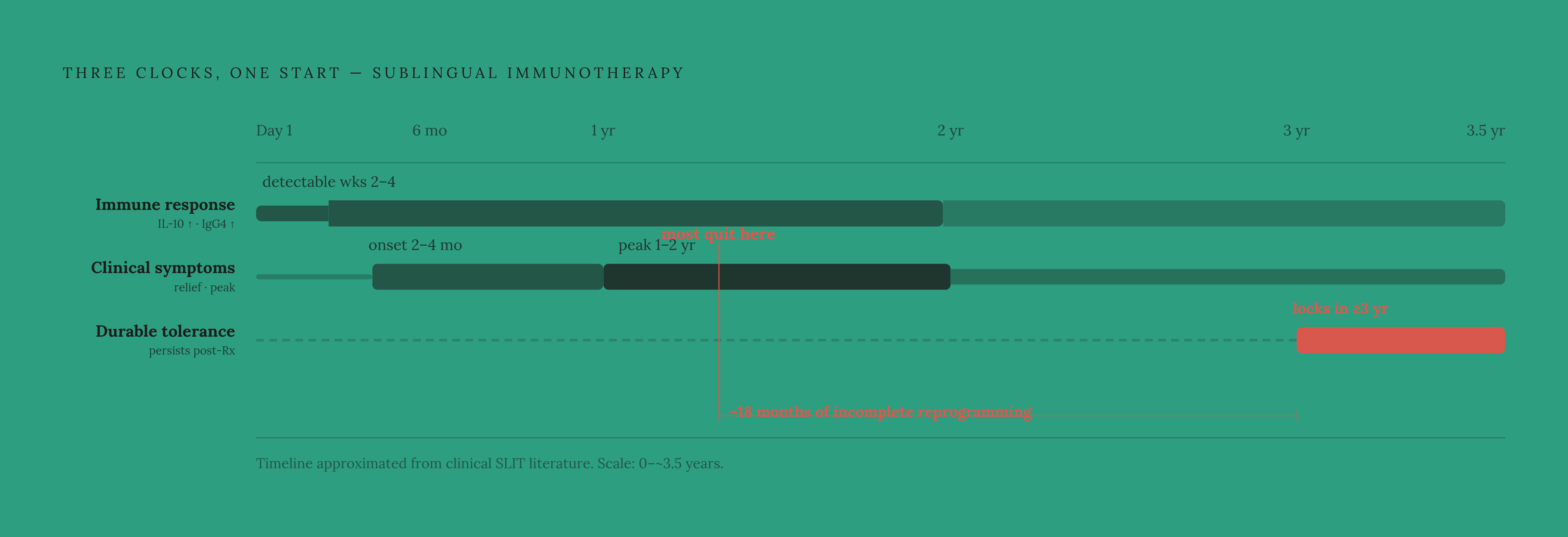 Diagram: Three Clocks, One Treatment. Visualizes: Show three parallel timelines running at different speeds, all starting at Day 1 of SLIT: (1) Immune response — IL-10 rises, IgG4 detectable within weeks; (2) Clinical symptoms — meaningful…