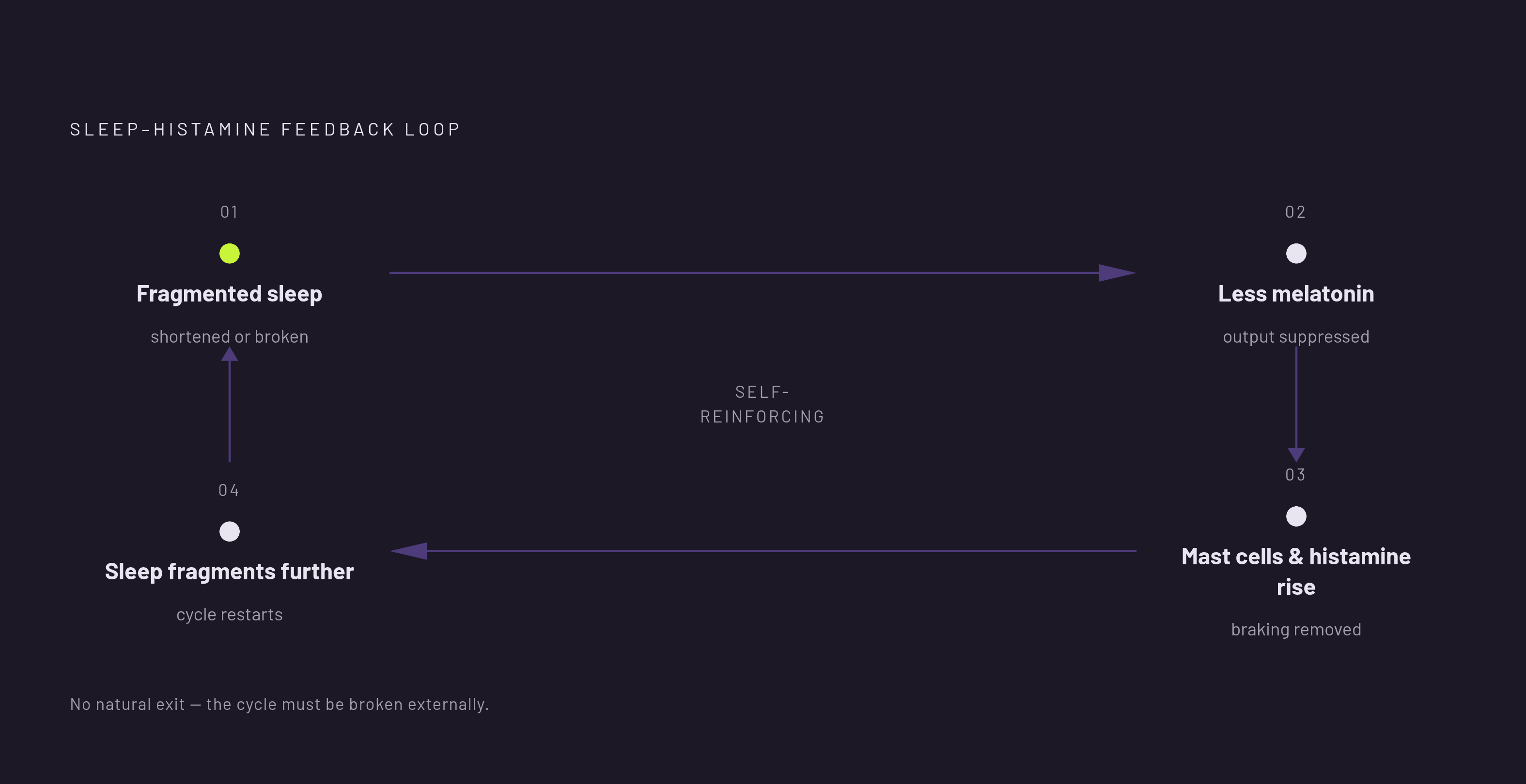 Diagram: The Self-Perpetuating Histamine–Sleep Loop. Visualizes: Illustrate a closed feedback loop with four nodes that each worsen the next: (1) Fragmented or shortened sleep → (2) Less melatonin output → (3) Reduced braking on mast cells, so mast…