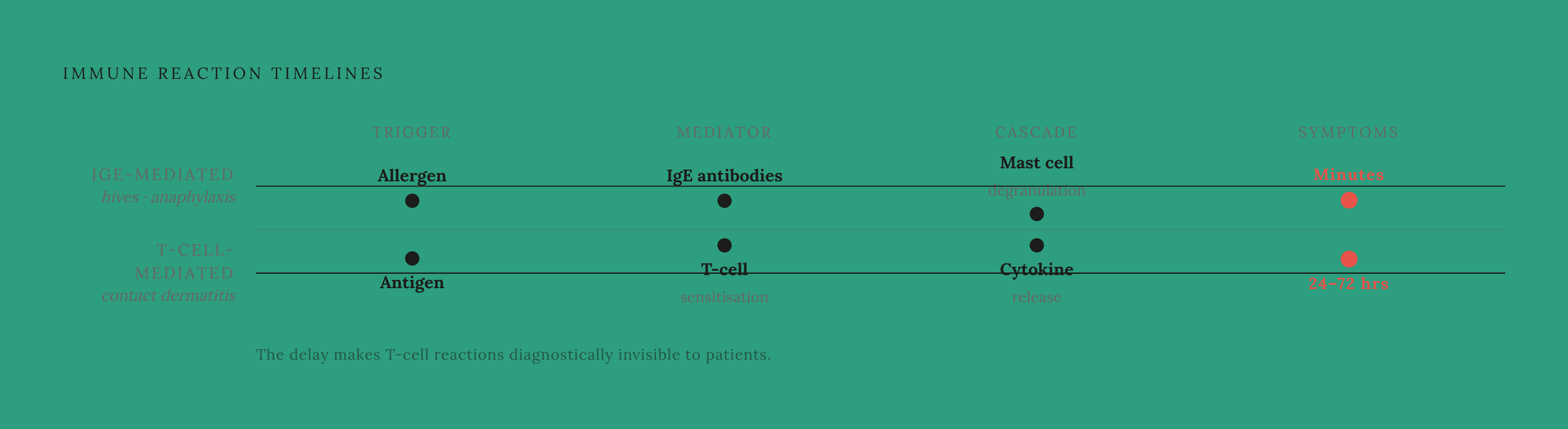 Diagram: The Two Immune Mechanisms Behind Allergic Skin Reactions. Visualizes: Visualize the contrast between two distinct immune reaction timelines: IgE-mediated reactions (involving IgE antibodies and mast cell degranulation, producing symptoms…