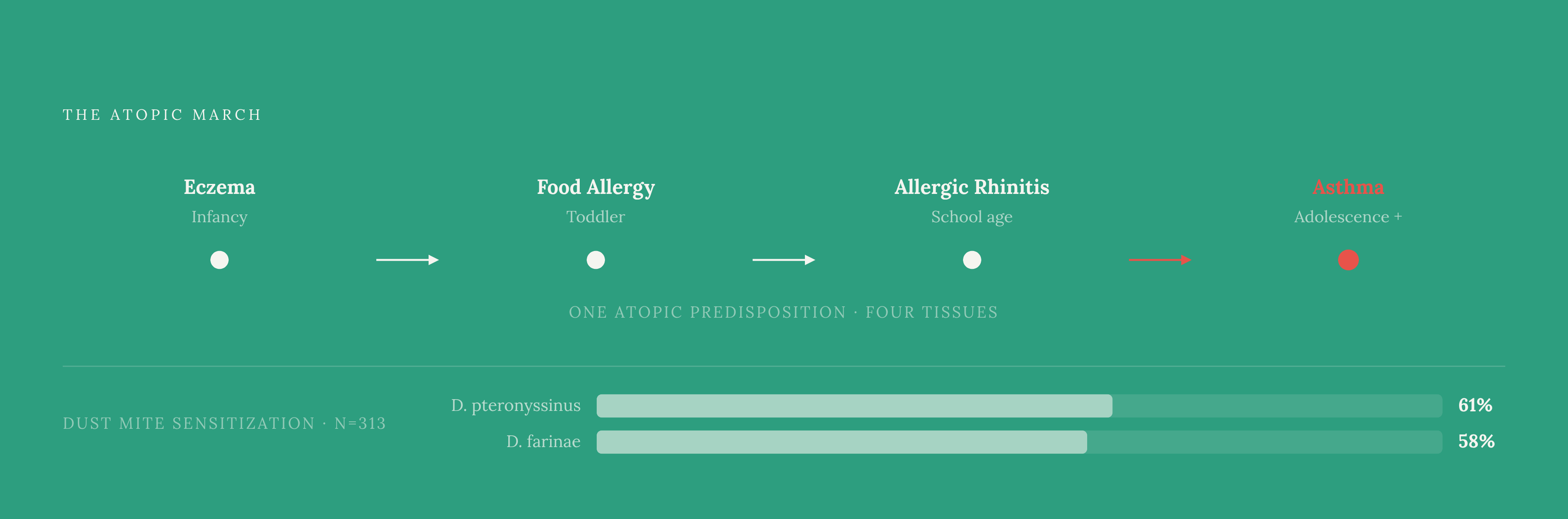 Diagram: The Atopic March: One Predisposition, Four Conditions. Visualizes: Visualize the atopic march as a left-to-right progression across childhood and into adulthood, with four labeled stages in sequence: Eczema (infancy) → Food allergies →…