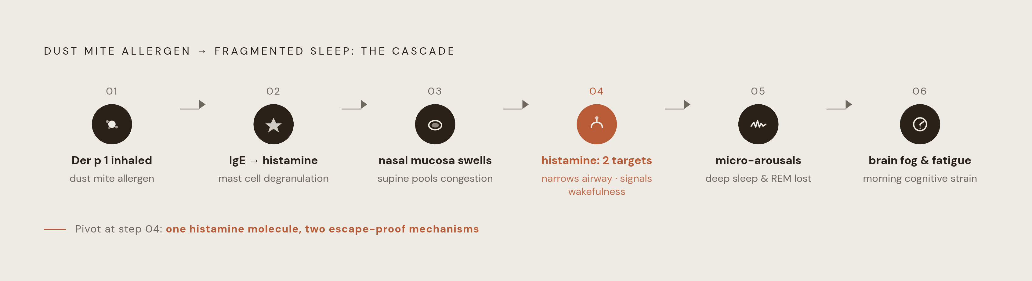 Diagram: The Nightly Cascade: From Allergen to Broken Sleep. Visualizes: Visualize a linear cause-and-effect relay chain showing how dust mite allergen fragments sleep step by step.