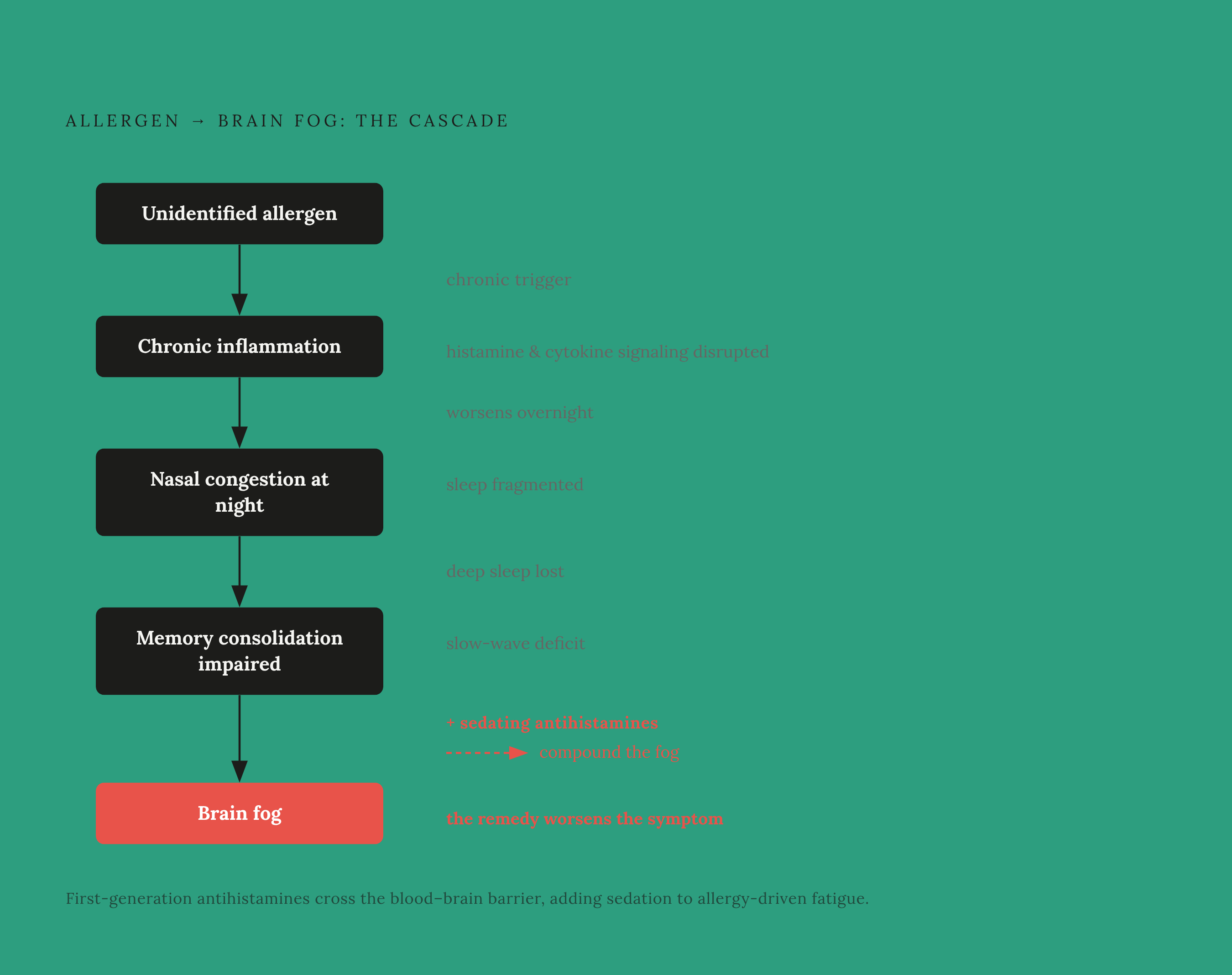 Diagram: The Allergy-Sleep-Fog Chain: How One Trigger Compounds. Visualizes: Visualize a cause-and-effect chain showing how an unidentified allergen cascades into cognitive fog through five linked steps: (1) unidentified allergen triggers chronic…